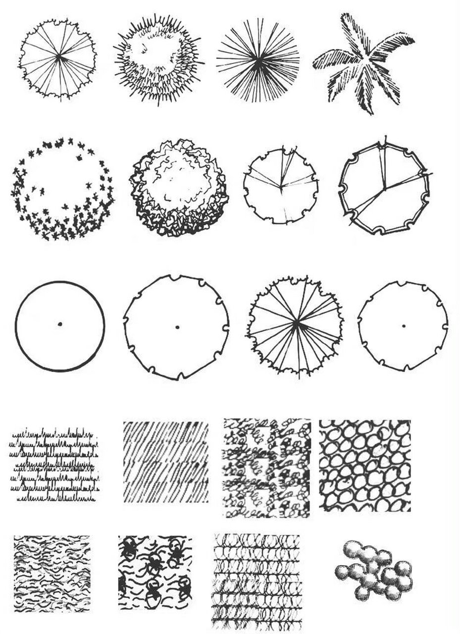 景观平面图植物图例图片