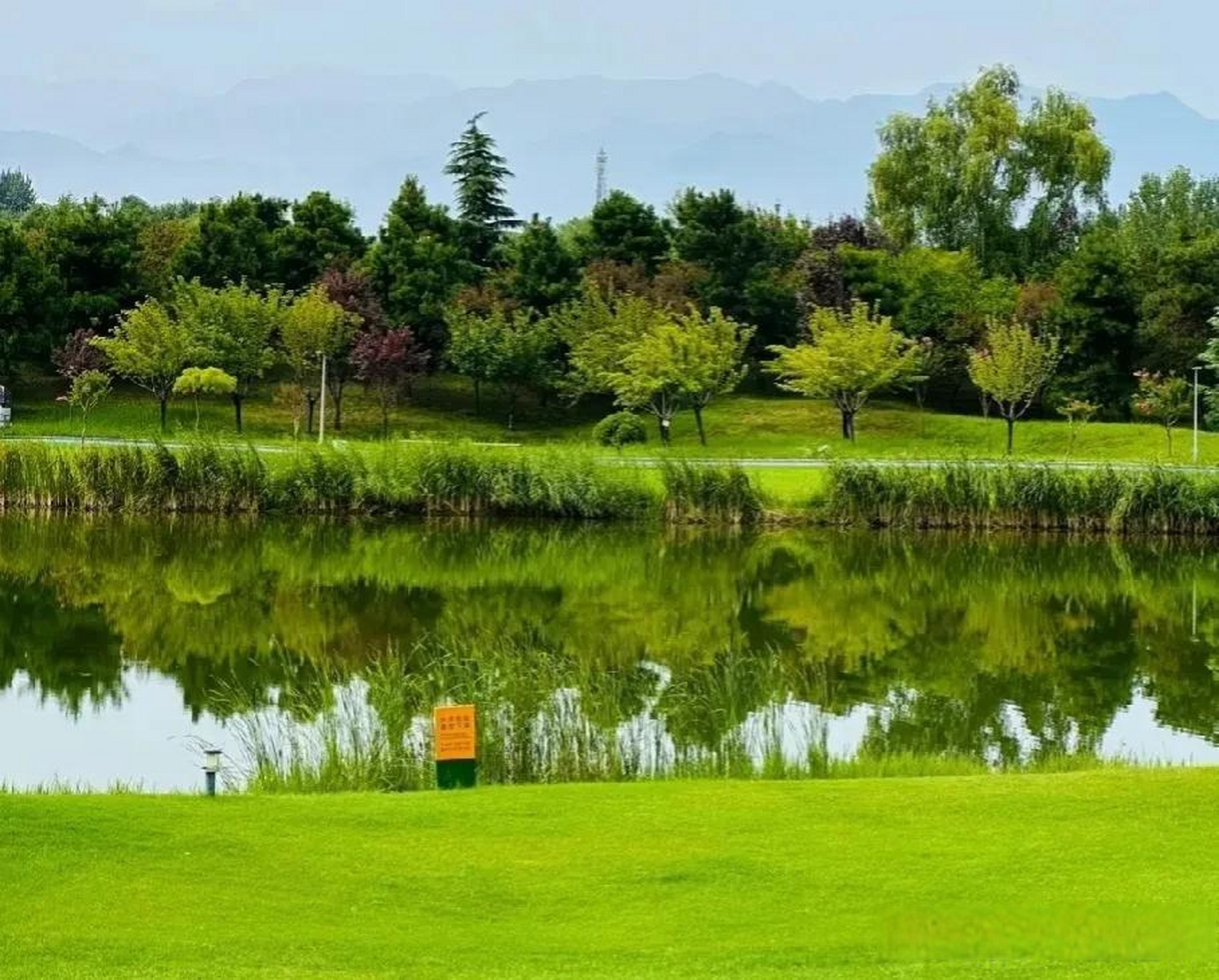 拍拍家乡风景 沣河梁家滩运动公园,秦岭脚下,依山而建,大片的草地