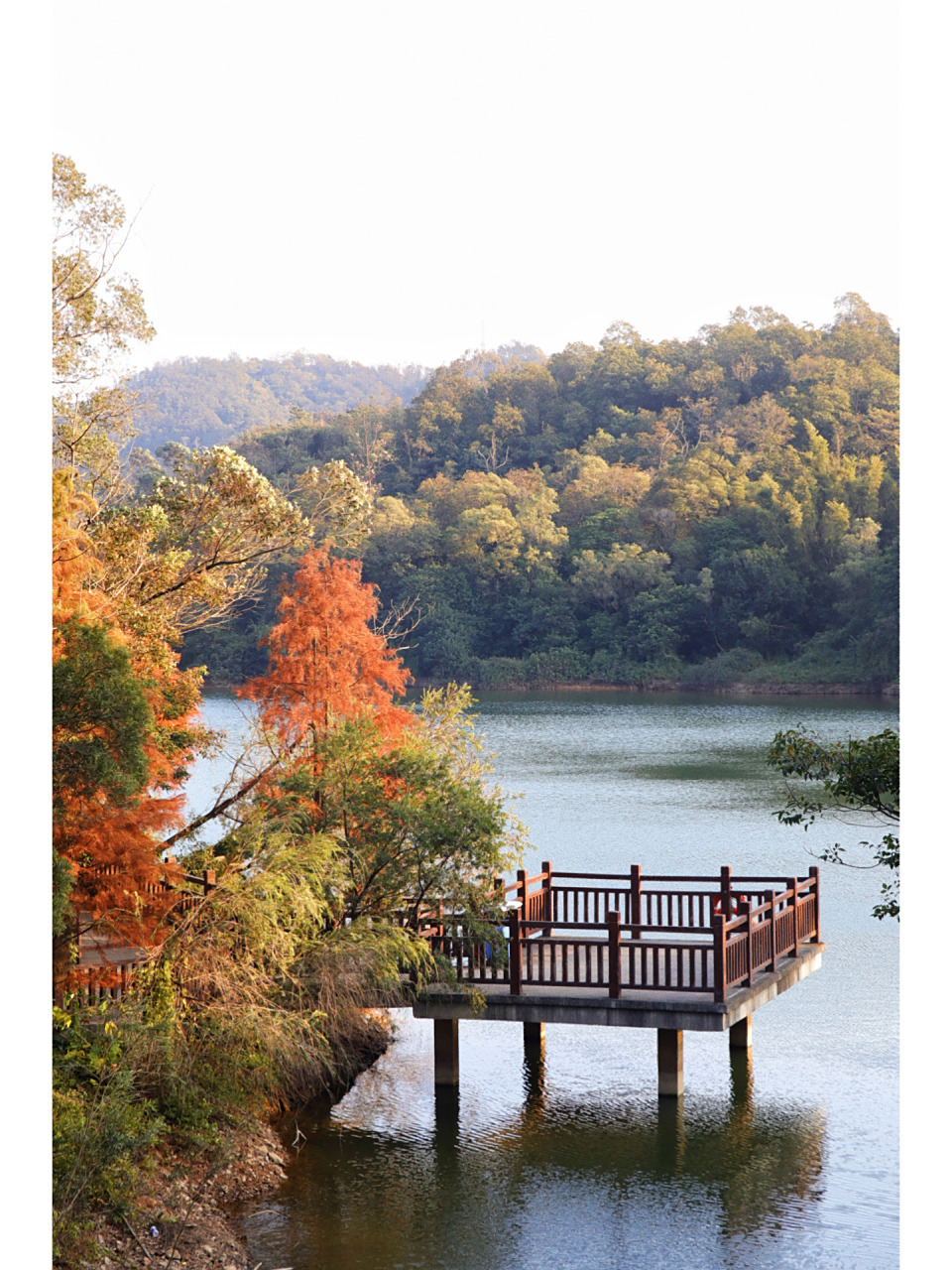 圭峰山进入需要预约码,可以直接在美团或者小程序里搜索关键词圭峰