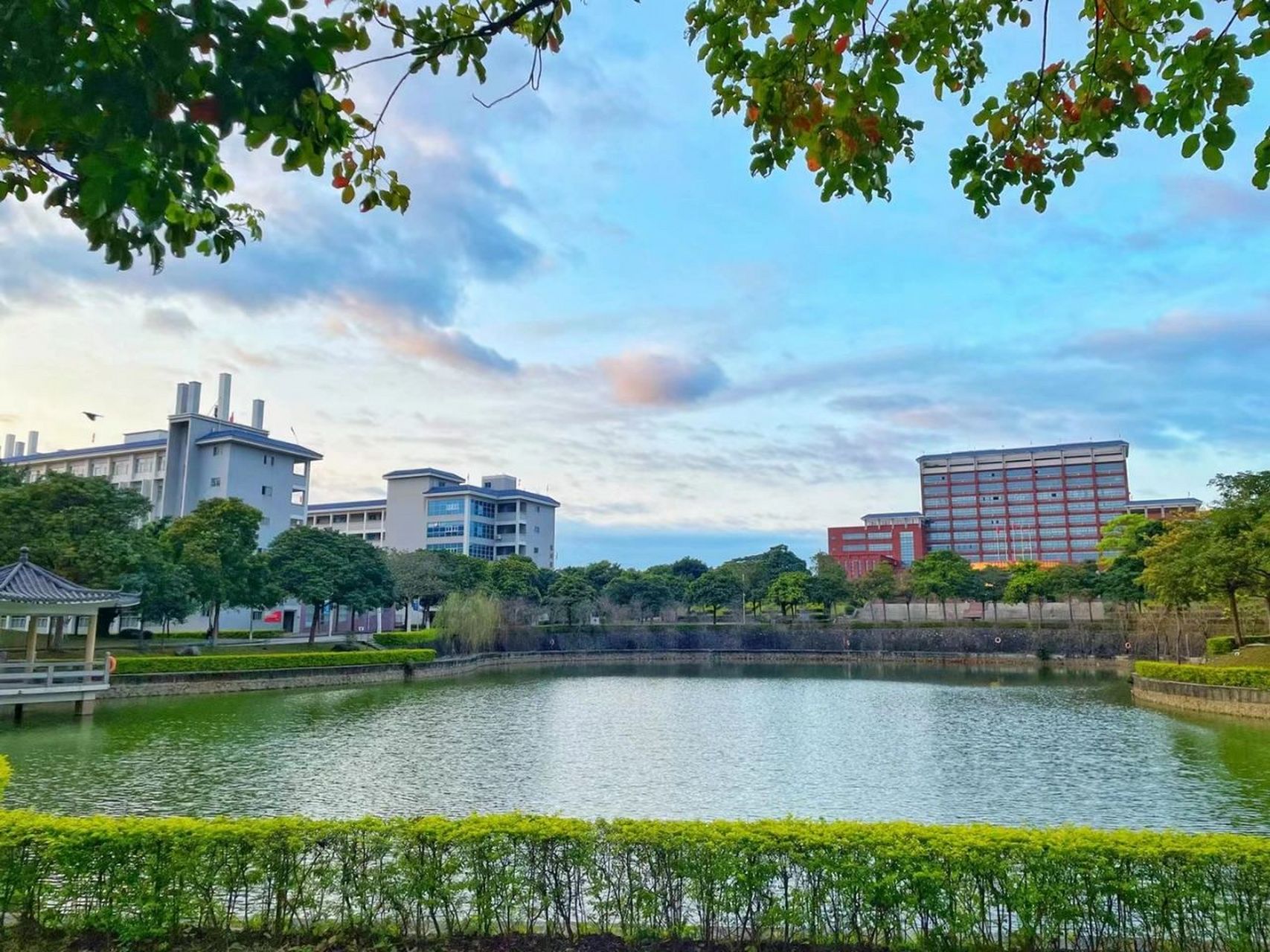 欢迎报考|广东创新科技职业学院 学校地处粤港澳大湾区的核心区