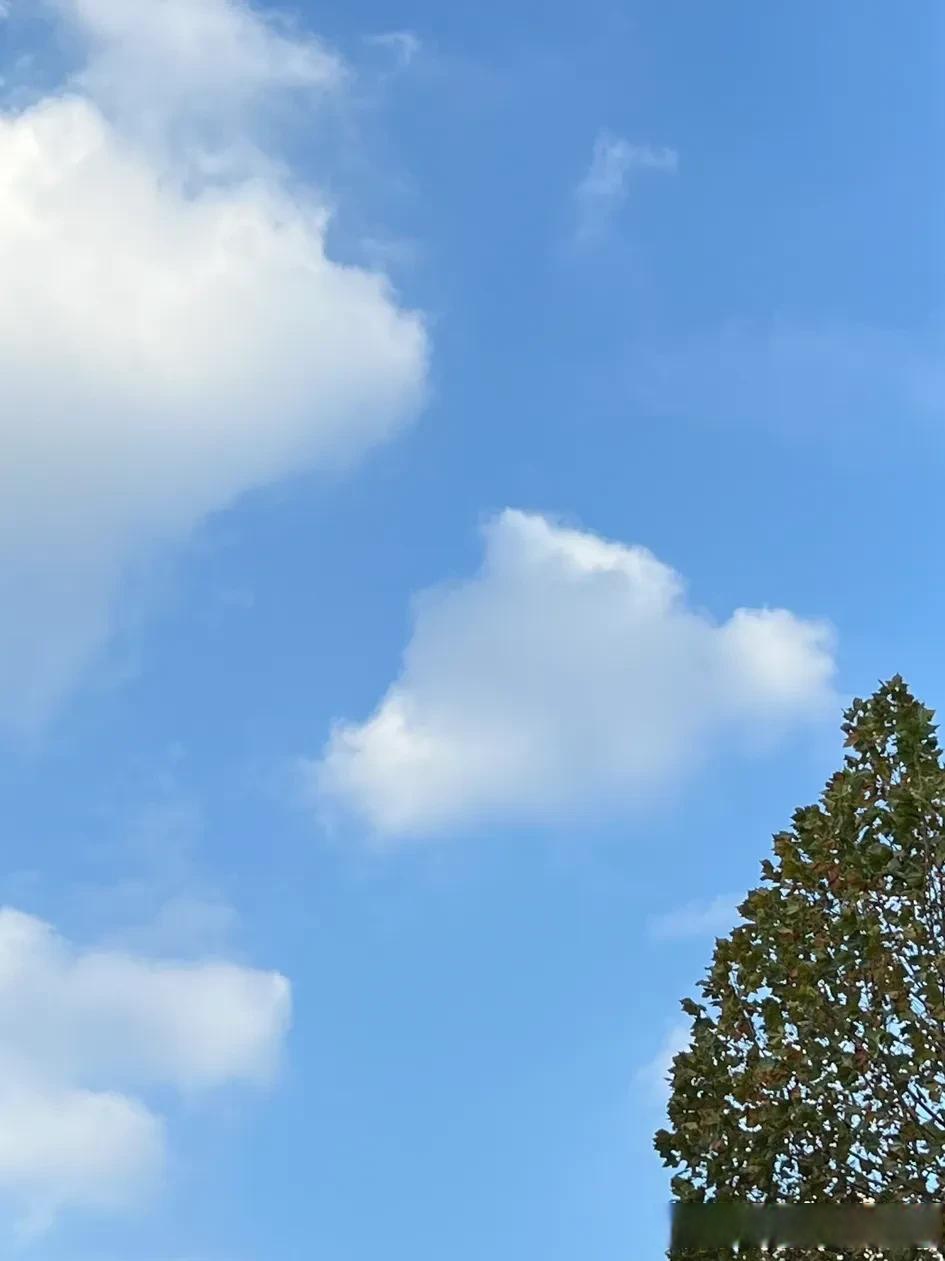 拍一张天空在头条上分享天空照片随手拍 随手拍天空继续 随手拍照的