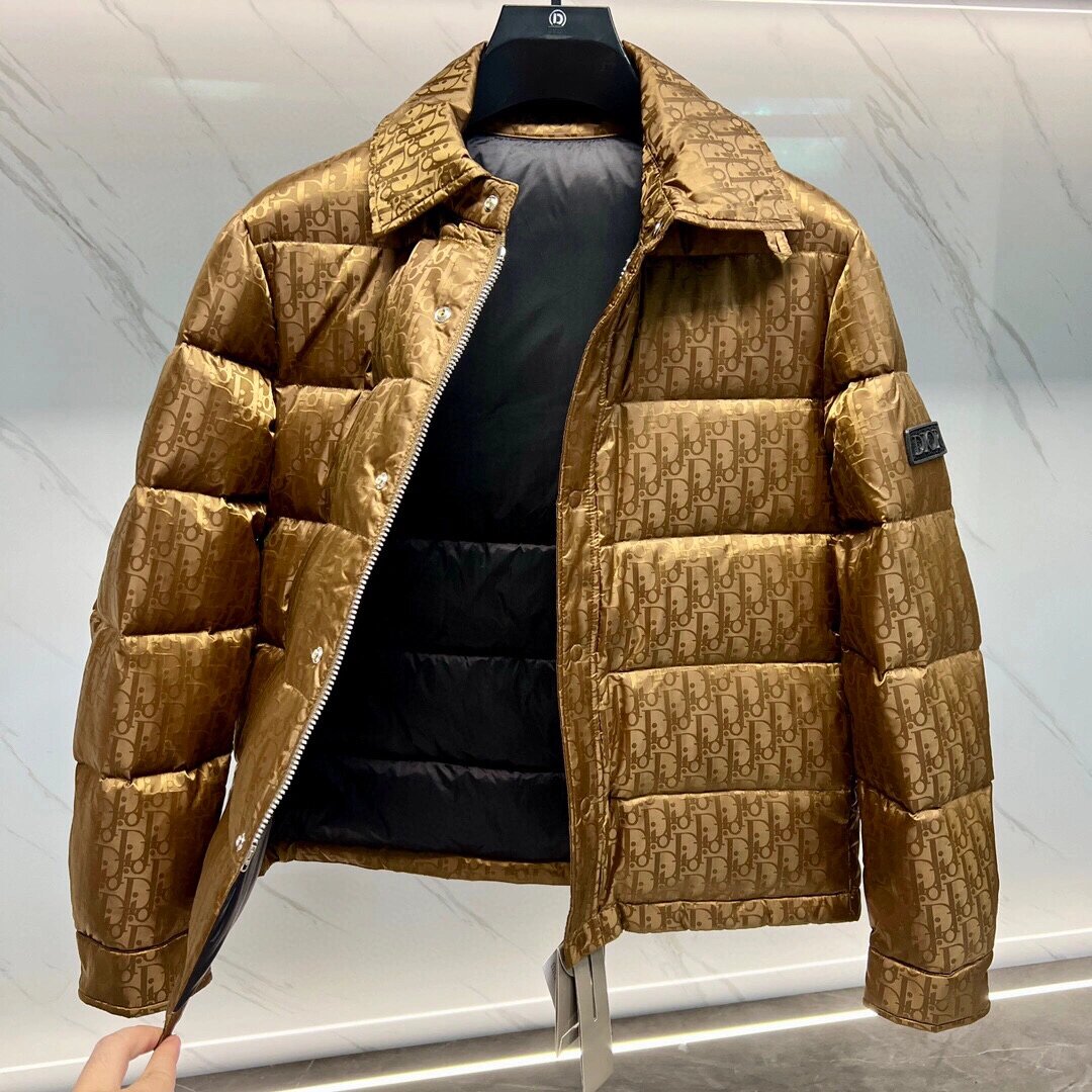 dior 迪奥家23秋冬薄款羽绒服男士外套立领 dior 23fw秋冬薄款暗纹