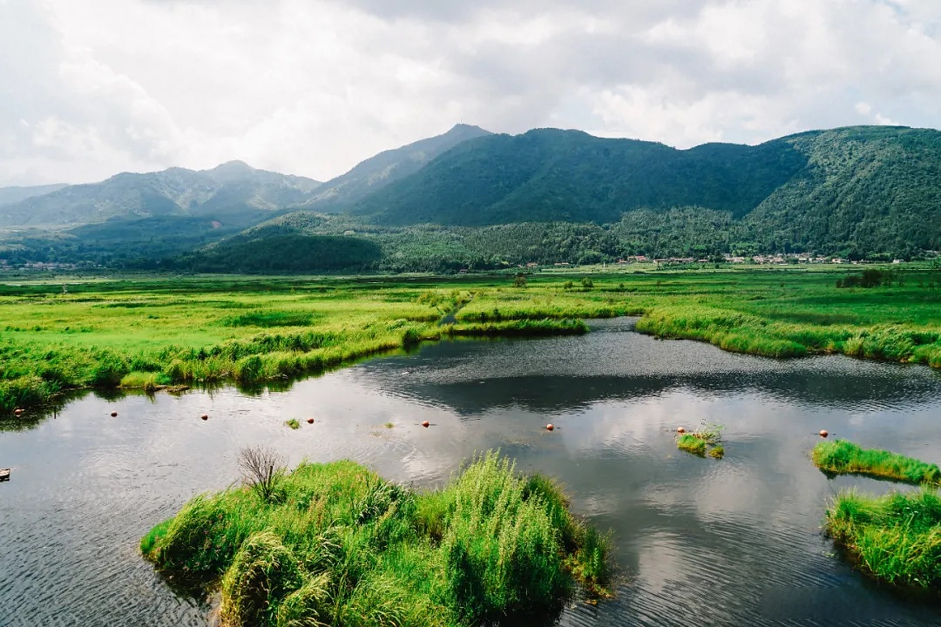 #腾冲心旅行# 北海湿地,是我国我国唯一的高原火山堰塞湖浮毯湿地,广