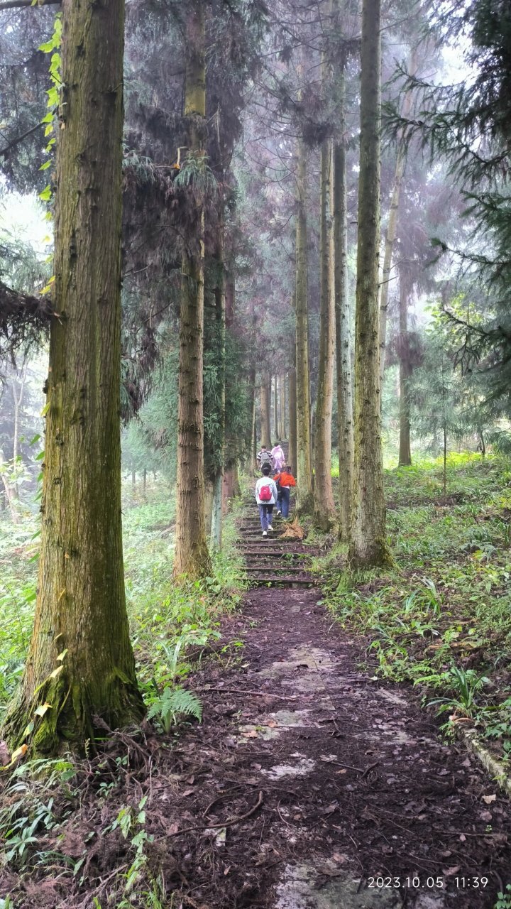 盘龙山森林公园