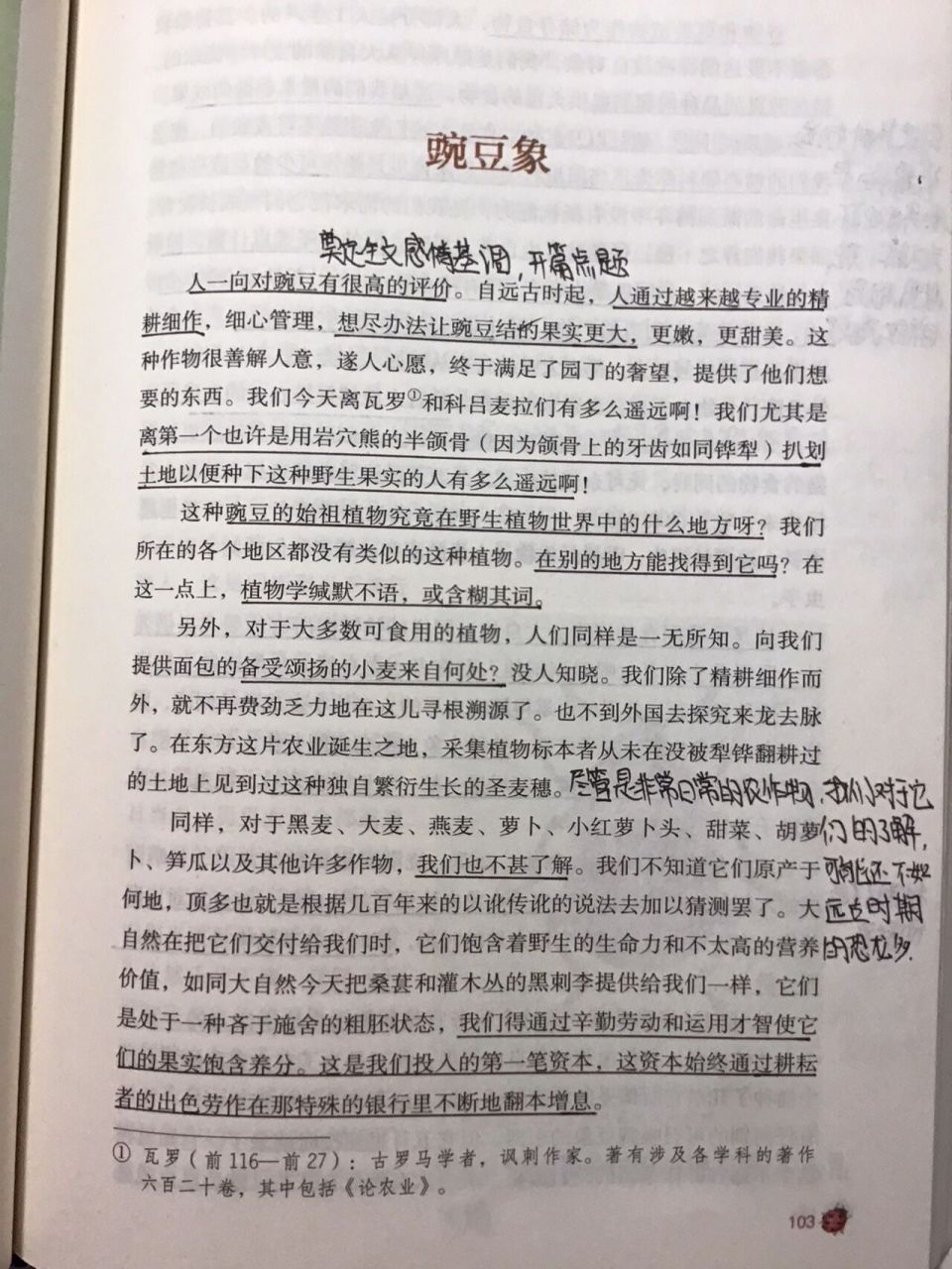 《豌豆象》读书笔记 《昆虫记》批注 《昆虫记》八上必读书籍92