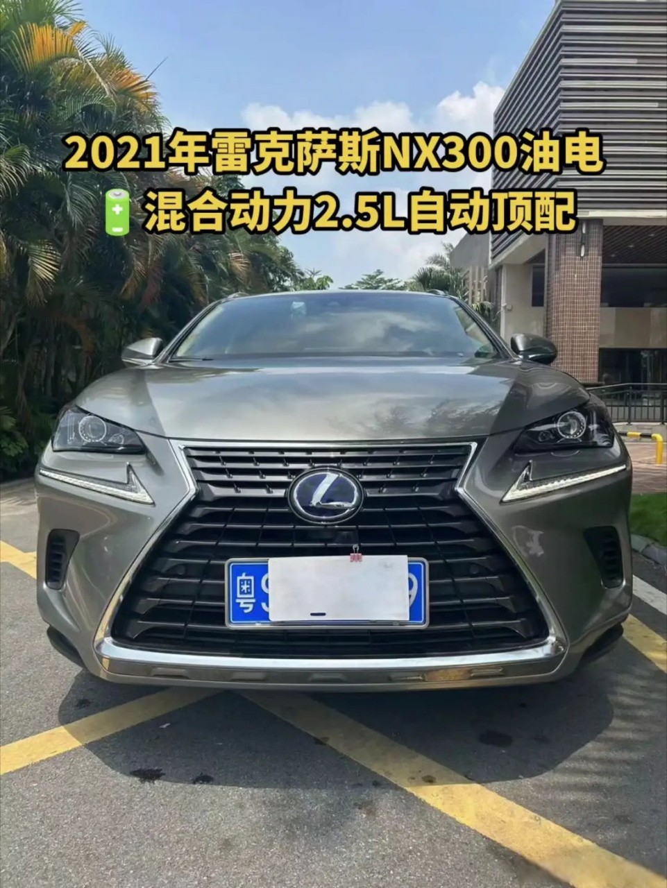 2021年雷克萨斯nx300油电91混合动力2.