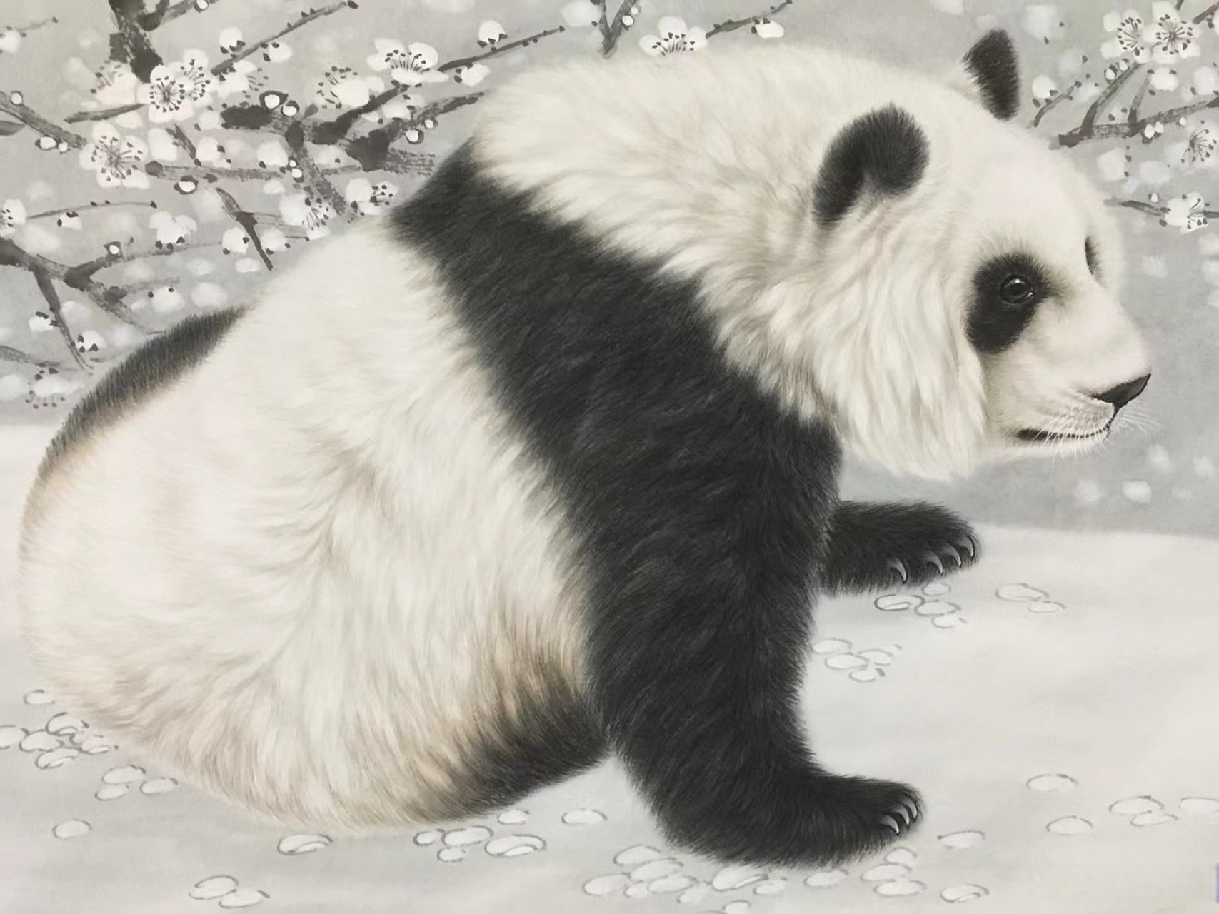 张玉涛老师工笔作品熊猫#艺术##国画