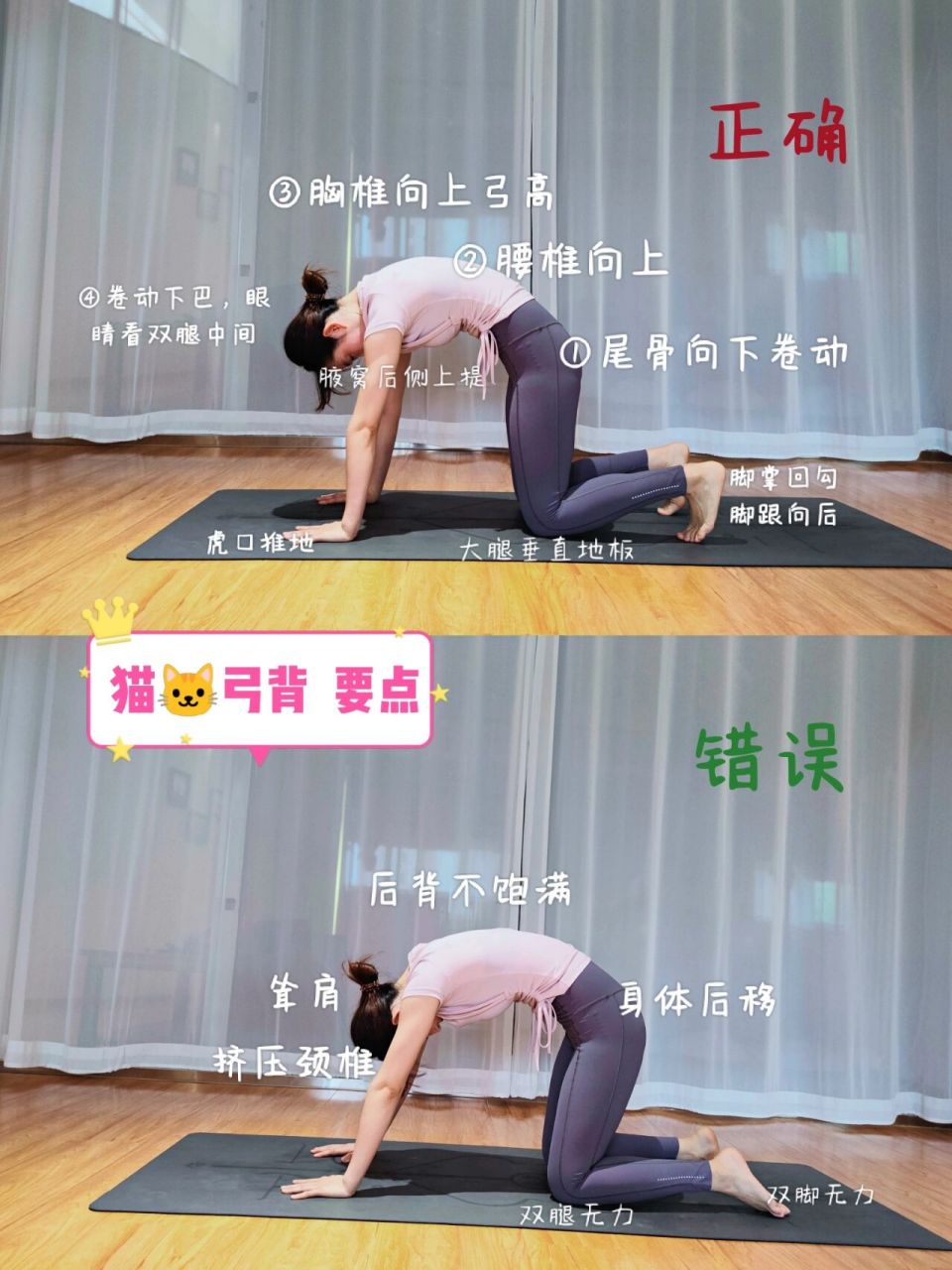 【体式精讲】猫伸展式&正位练习 今天给大家分享一个充分灵活脊柱的体