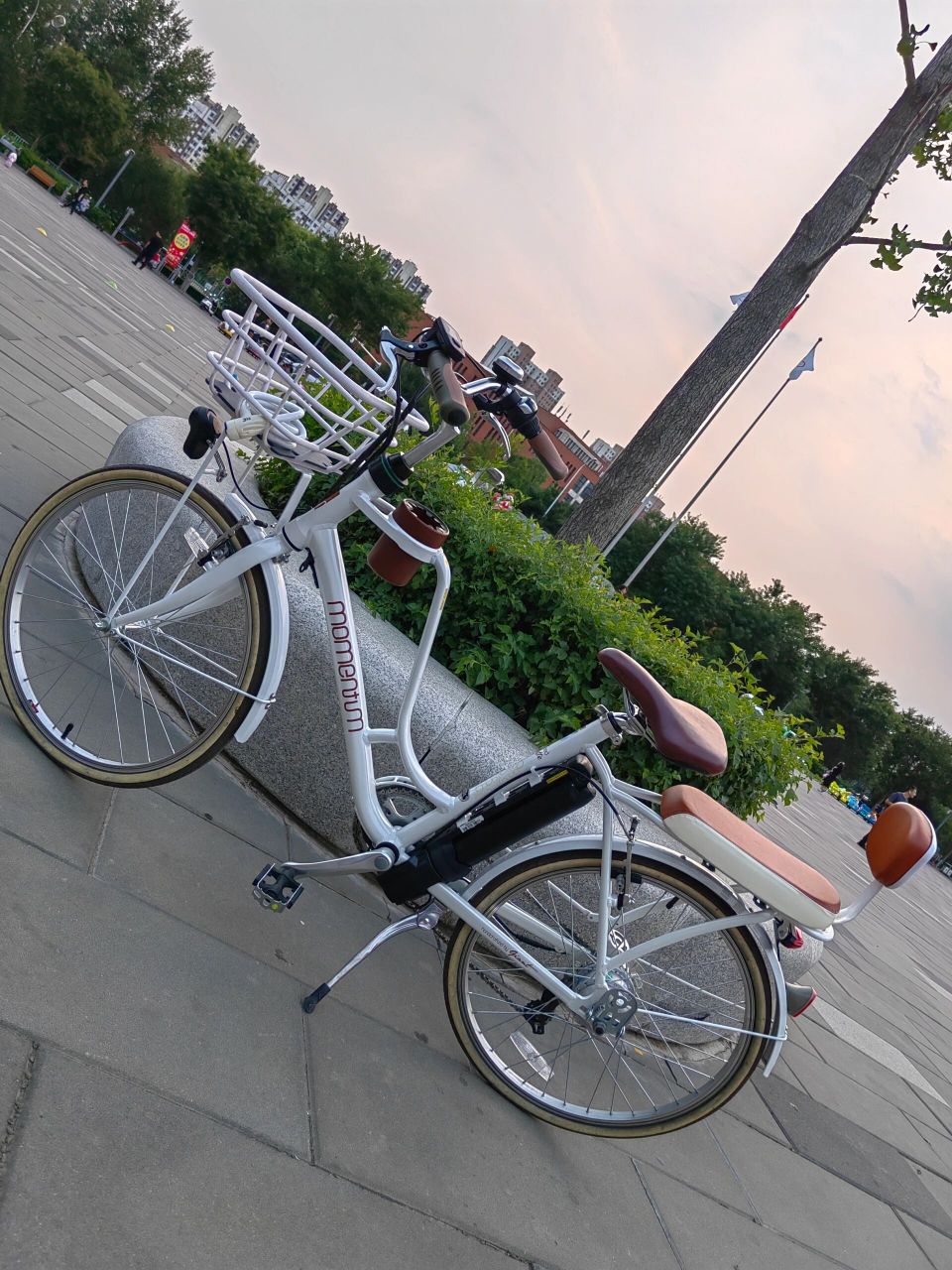 捷安特momentum莫曼顿拿铁 ego.一级棒!