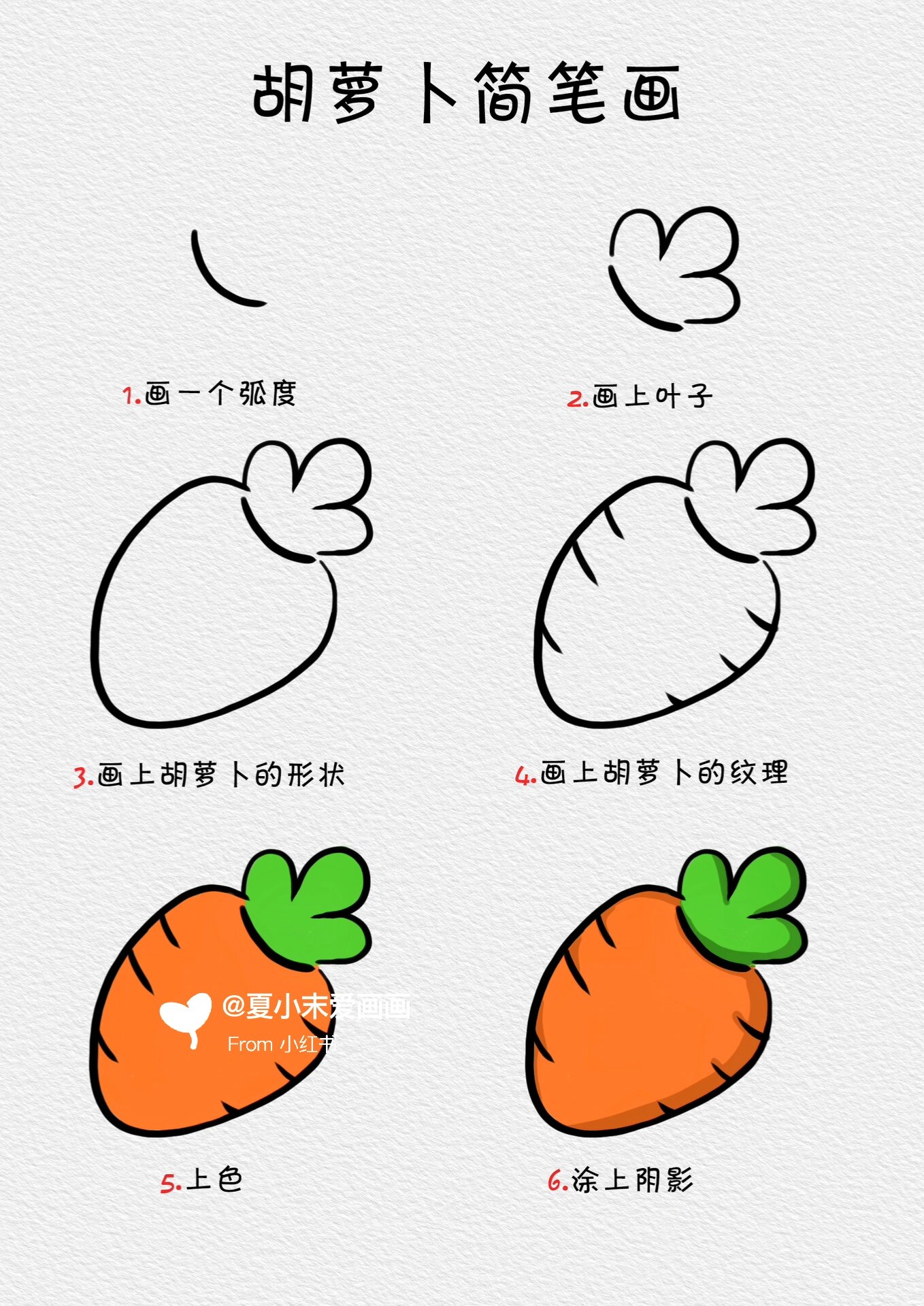 各种各样的蔬菜简笔画