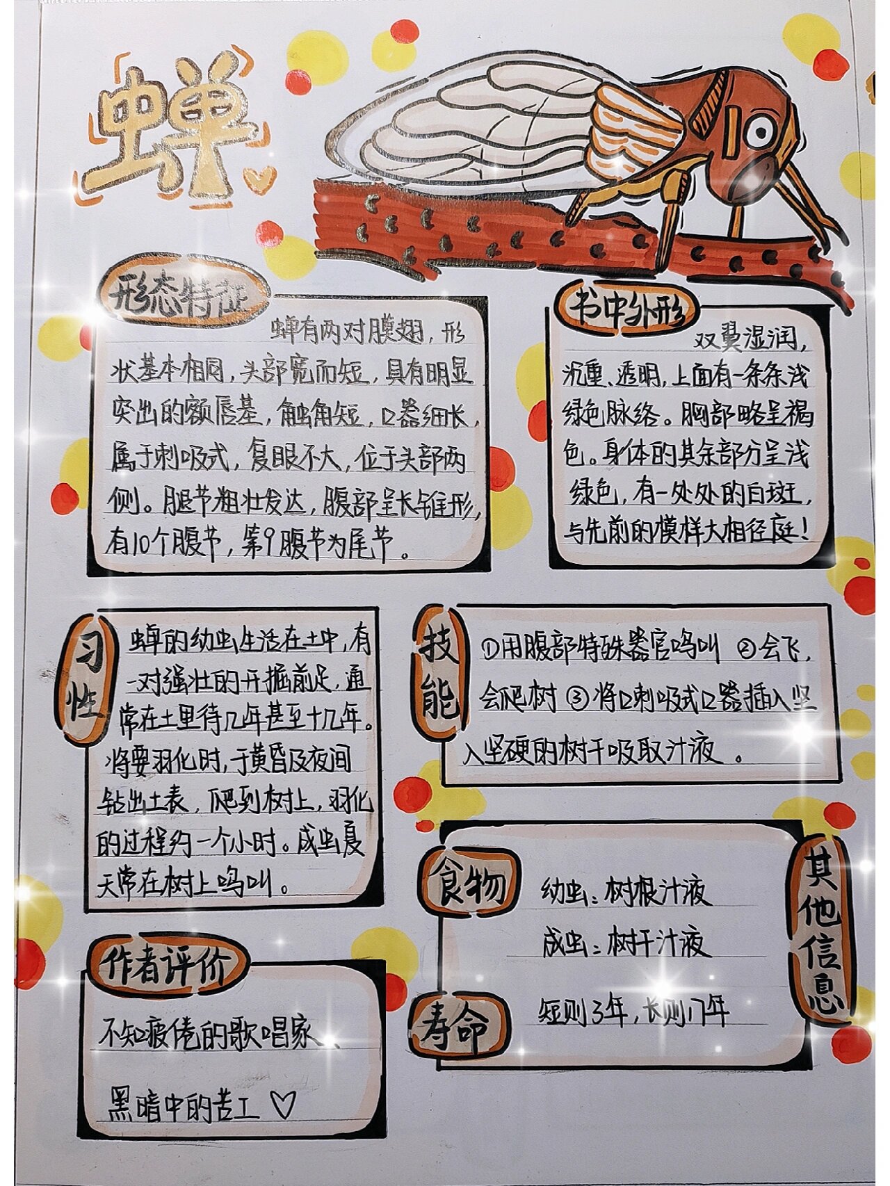 《昆虫记》昆虫名片