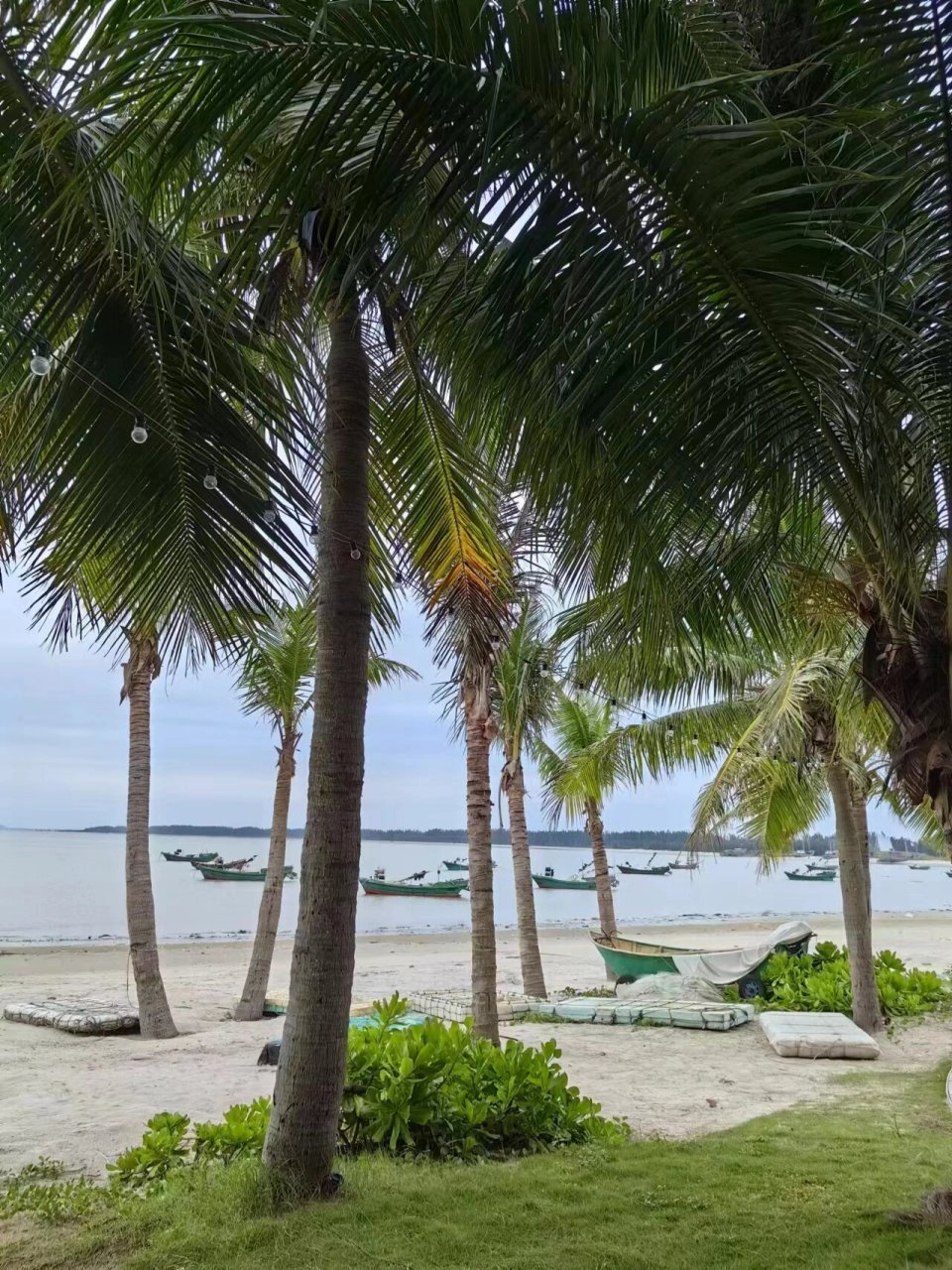 茂名市电白区博贺镇的港口码头 茂名市电白区浪漫海岸