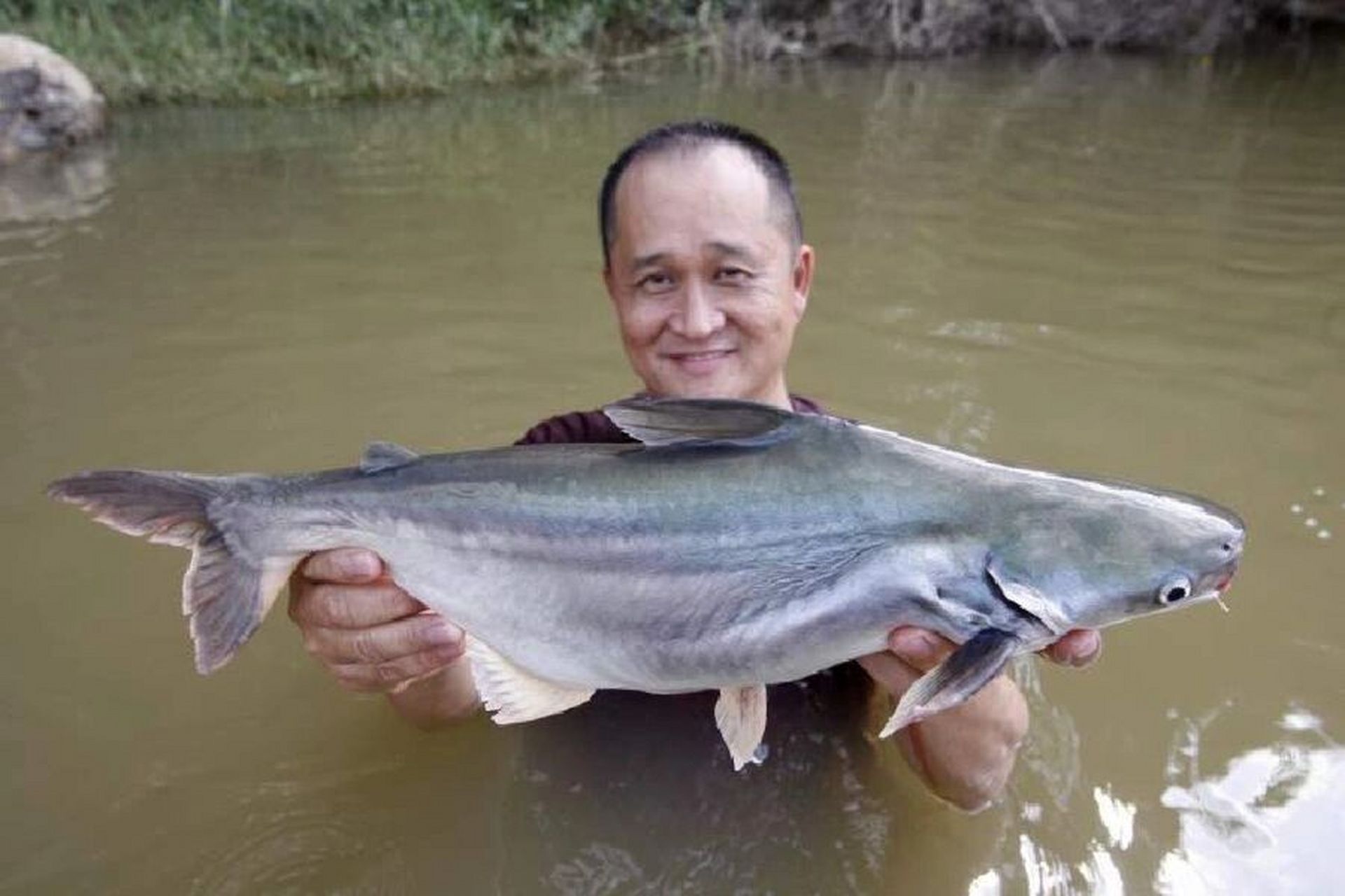 忘不了鱼 (empurau) 忘不了鱼也被称为"河鱼之王",原产于马来西亚