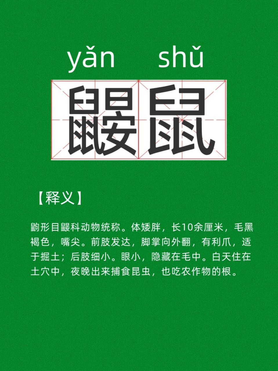【每日一词】鼹鼠 小时候都读yàn鼠