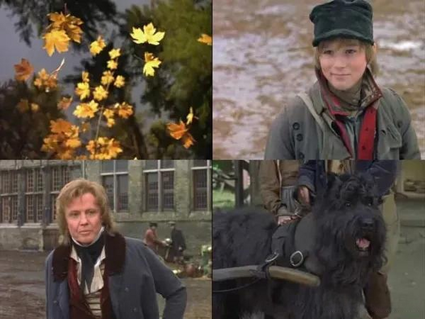 《义犬报恩》是一部1999年的电影,画面非常美 故事很感人