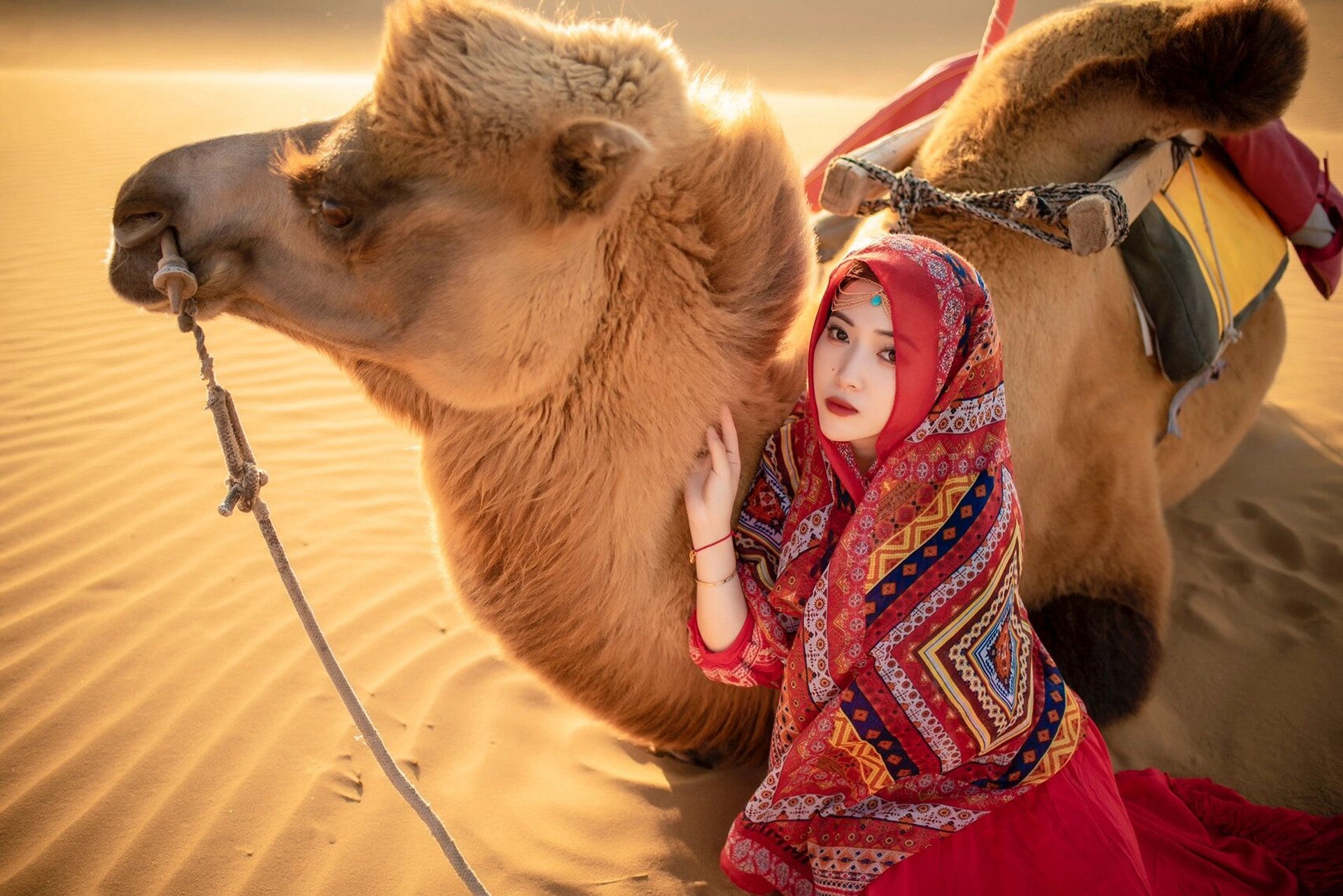 中卫旅拍|沙漠骆驼97