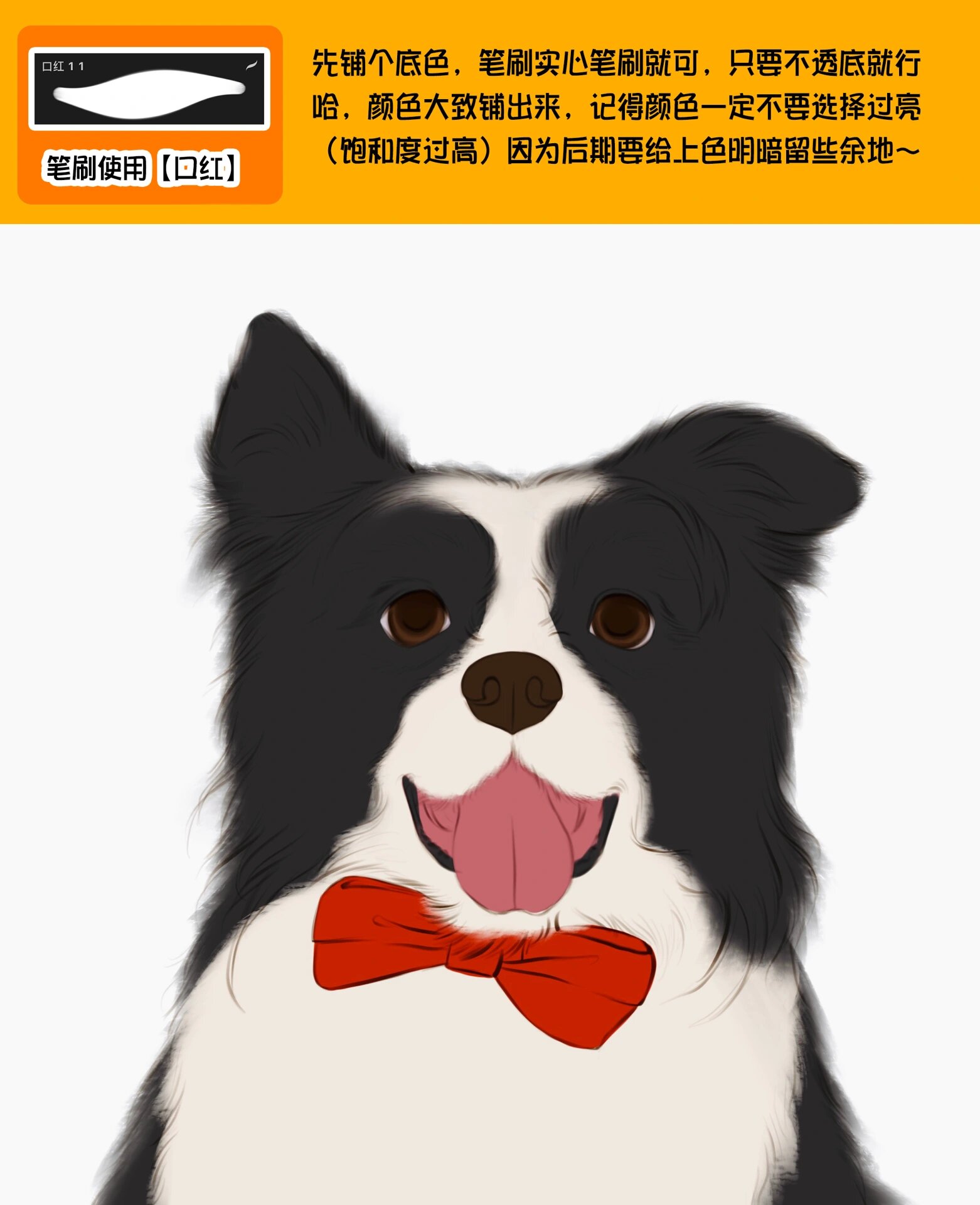 教程篇|教你画黑白边牧犬呀 保姆级绘画教程