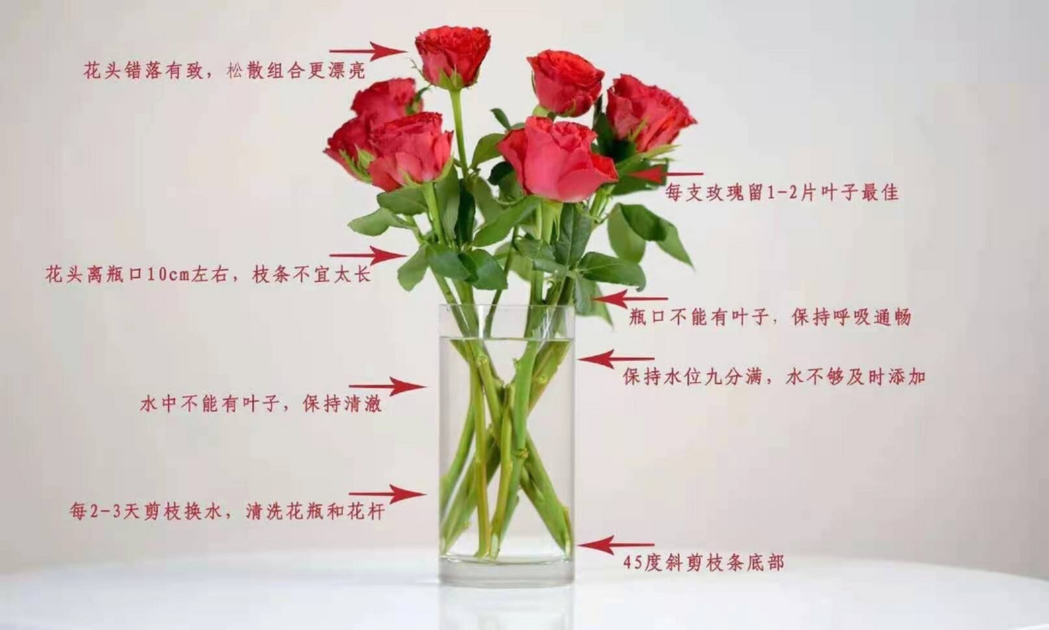 各种养花水位图02 小姐妹们,拿走不谢