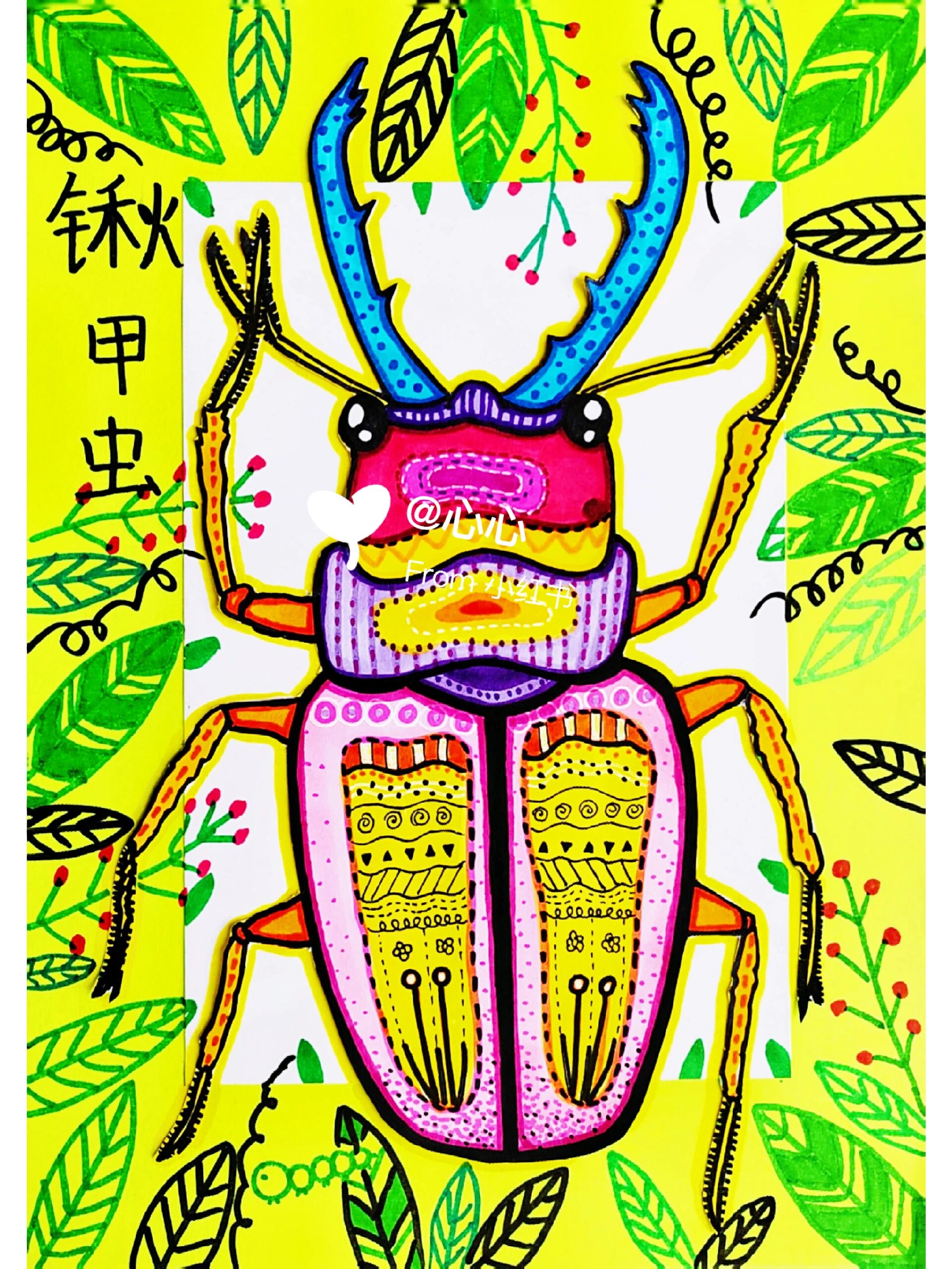 让孩子们了解锹甲虫和其它的昆虫一样,身体分头,胸,腹三部,有六只脚