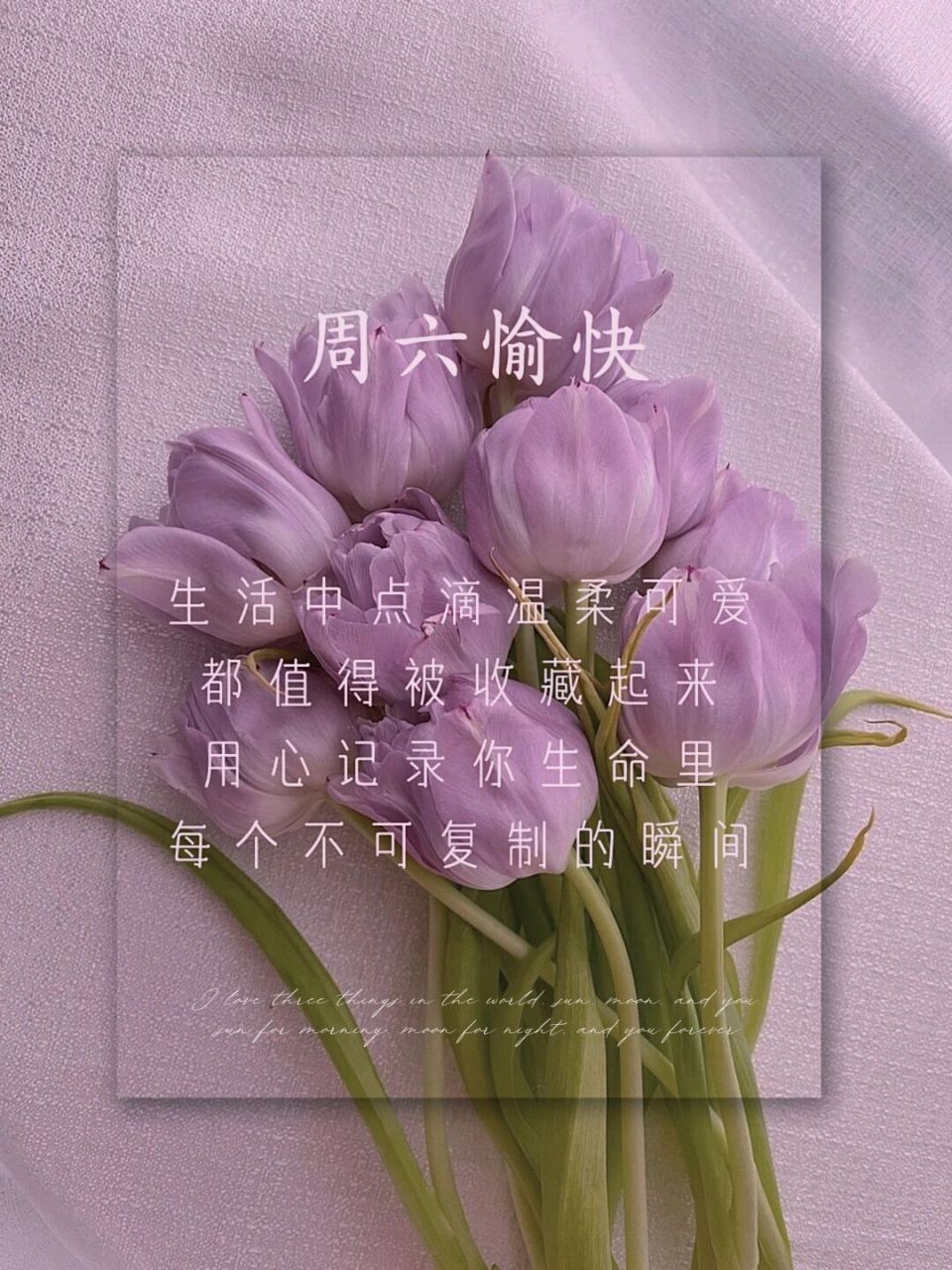 周六愉快 | 早安图 | 文案 | 朋友圈美学 | #把春天搬进家# #春日漫游