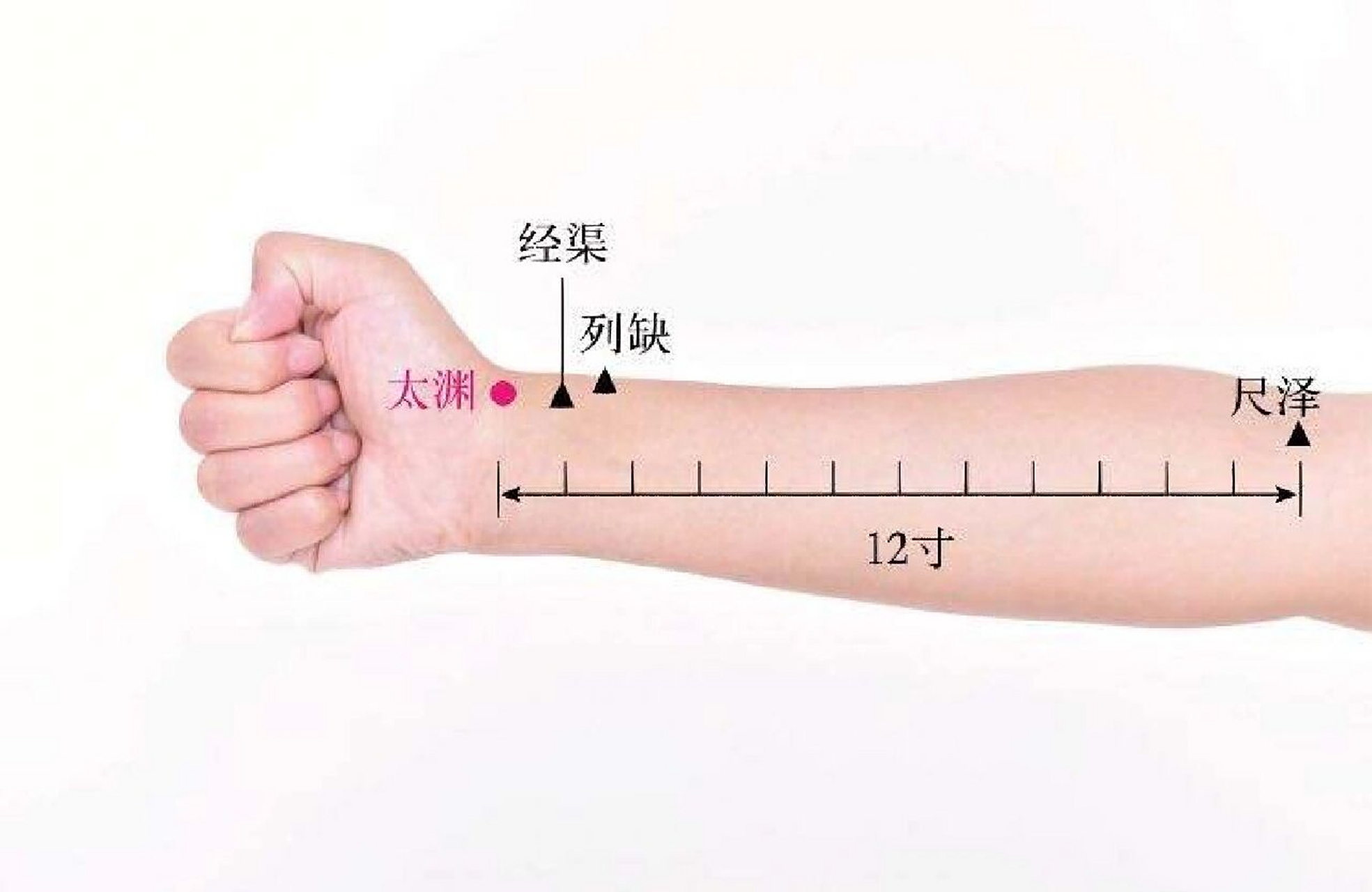 太渊穴 位于前臂腕横纹桡侧 太渊位于前臂腕横纹桡侧,用指腹能感觉到