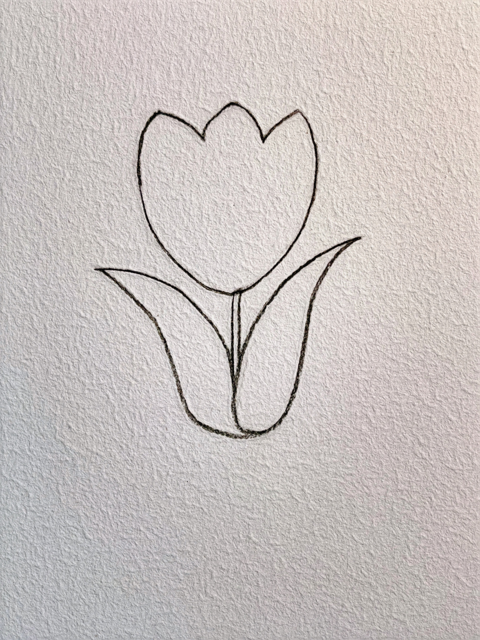 郁金香简笔画 世间荒芜,浪漫不死93 郁金香的四种画法