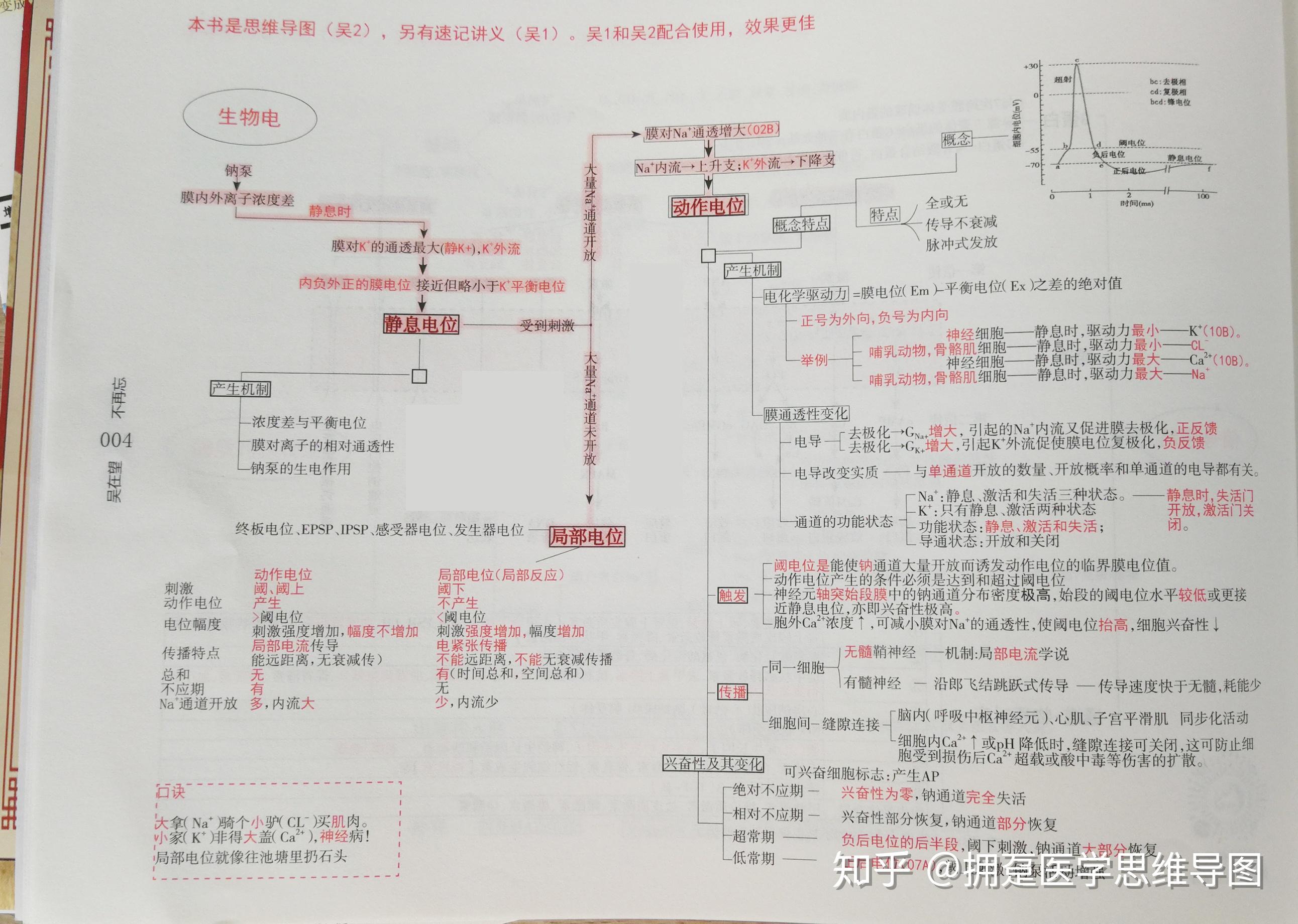 怎样理解静息电位动作电位以及局部电位