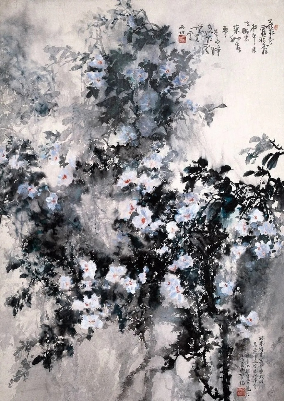 宋雨桂 · 写意花鸟欣赏