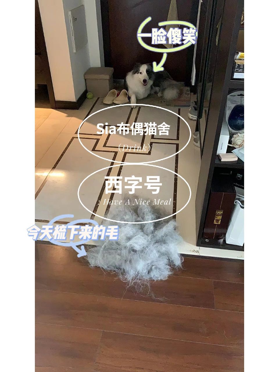 不厉害不厉害,真的.