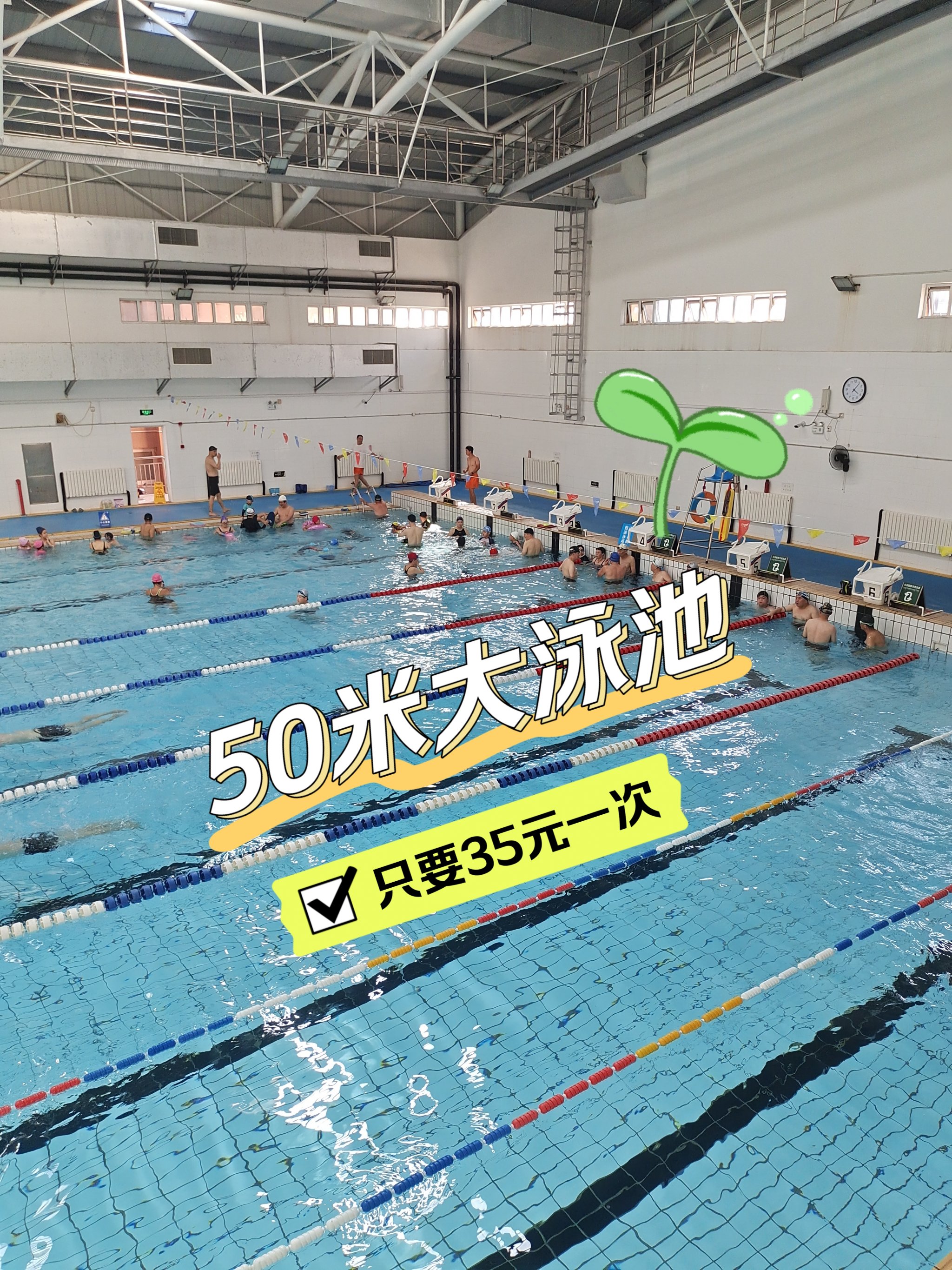 50米标准泳池游一次只要35元!