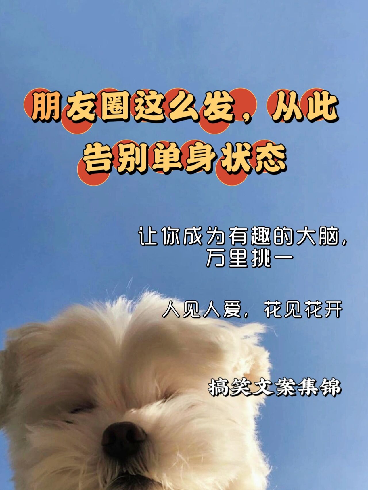 朋友圈这么发,从此告别单身状态