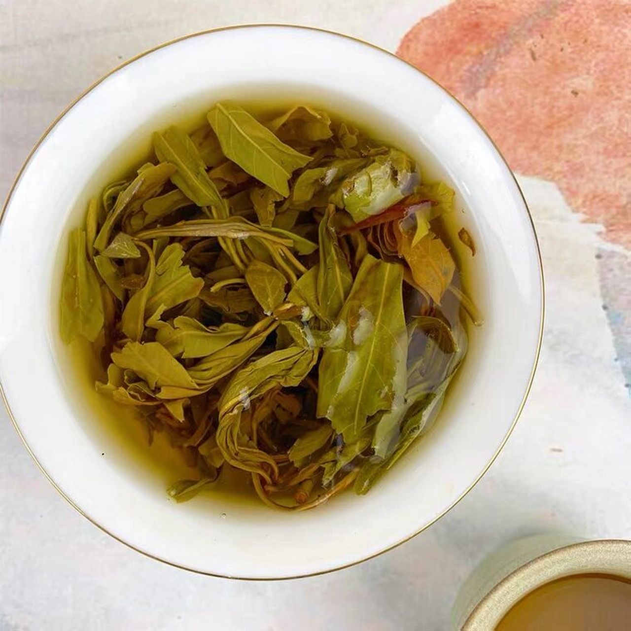 重庆人爱喝的老鹰茶 毛豹皮樟的嫩枝嫩叶晒干后,可当茶泡饮,当地称它