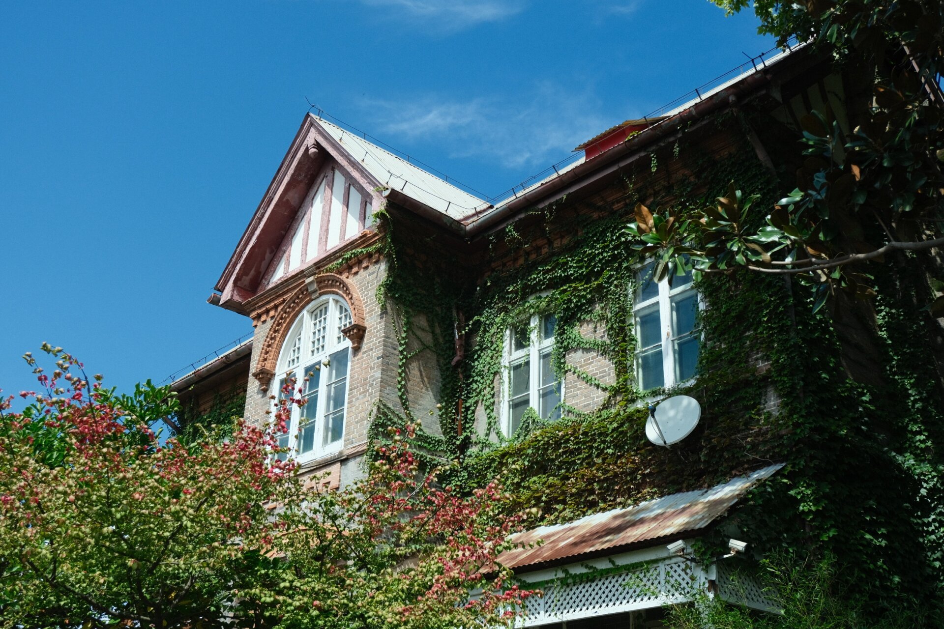 烟台芝罘区景点合集攻略 感受2 芝罘湾广场:可以坐大帆船喂海鸥,抖音