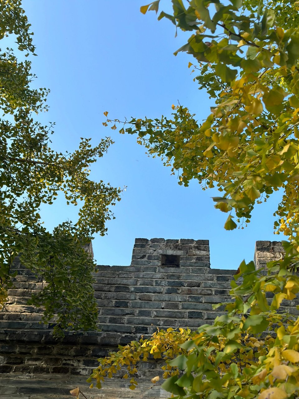 今日龙州 平武县古称龙州,龙安,位于四川省西北部,绵阳市下辖县,是藏