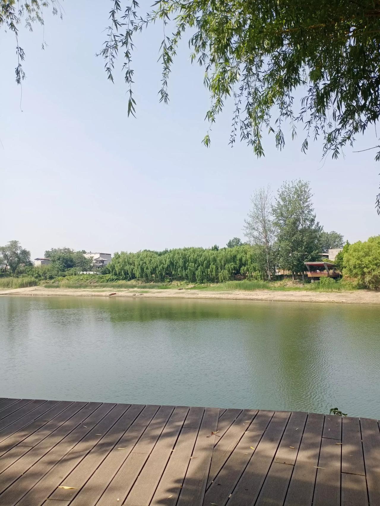 今日头条能发实况照片了 现在汝河的水位如何呢?