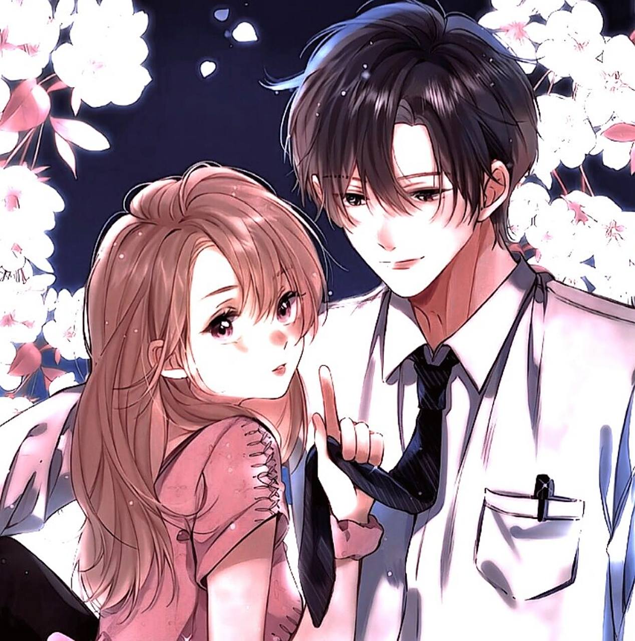 桑稚段嘉许画质头像/92盗/抱图吱声