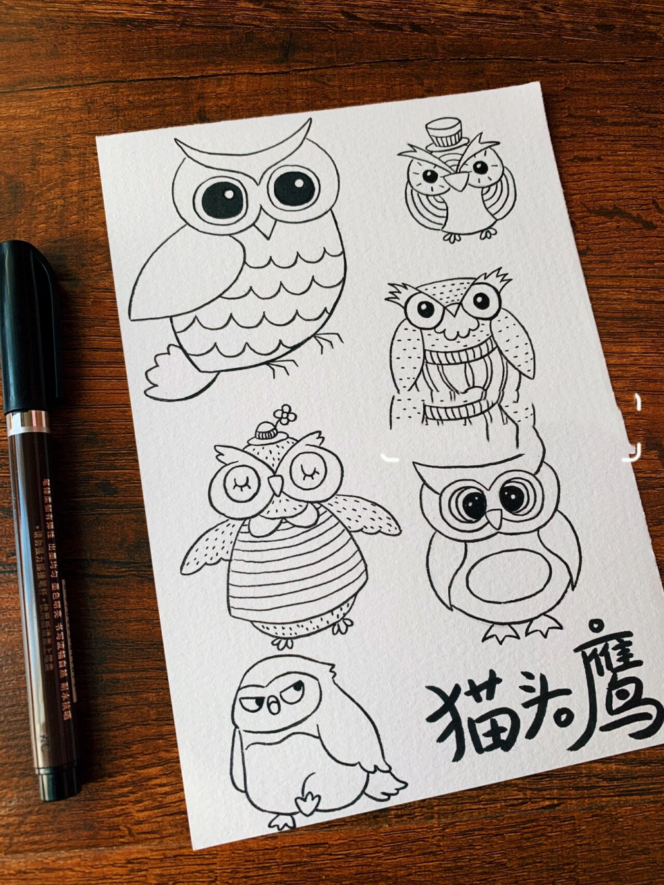 猫头鹰手帐手绘简笔画临摹素材黑白线稿上色
