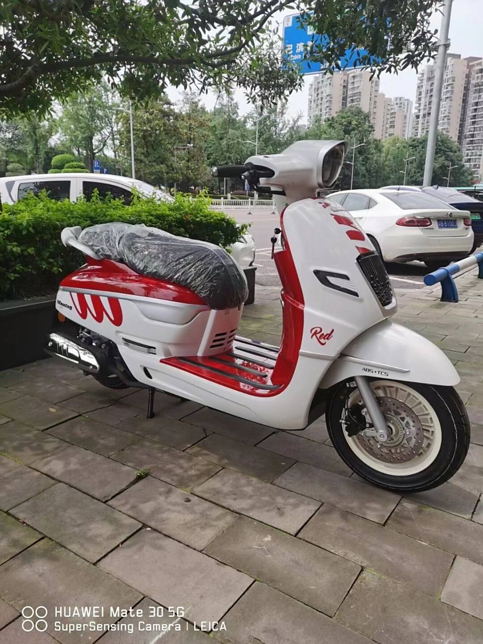 南方飞戈150踏板