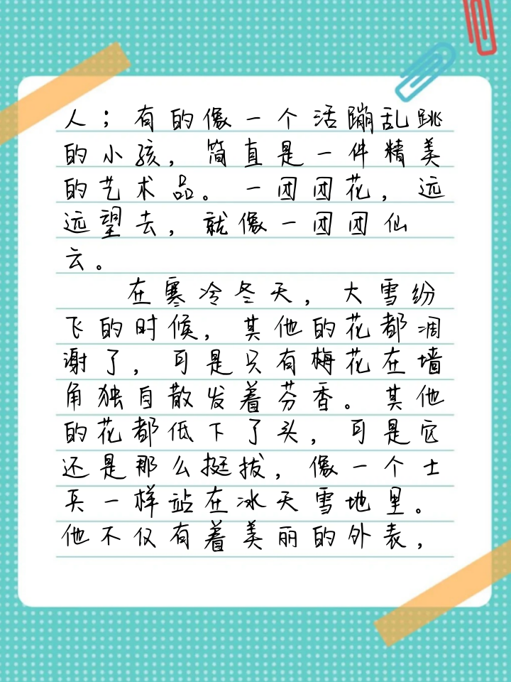 梅花三年级作文300字