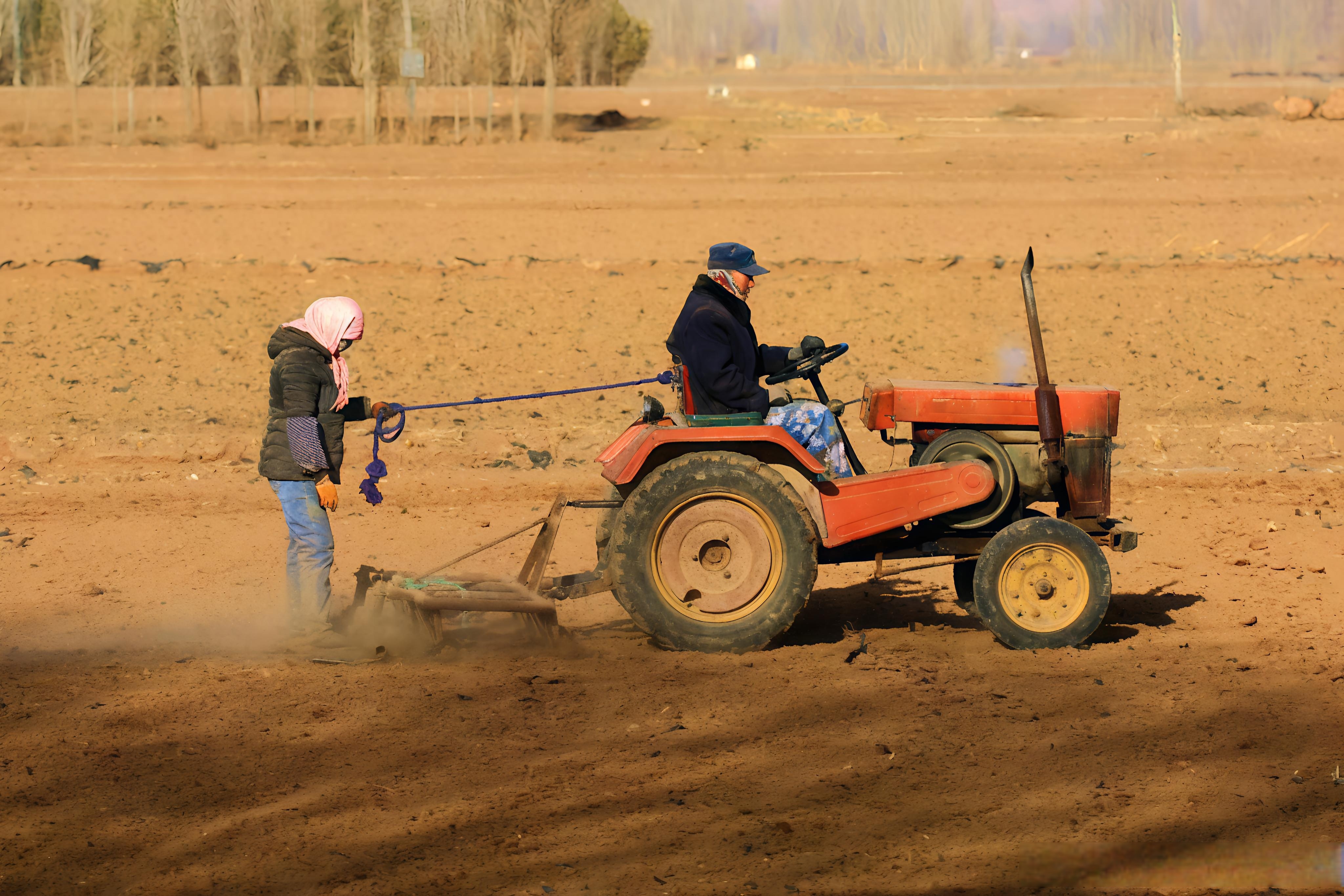 他们开着拖拉机和农用三轮车,犁地,耙地,拉粪