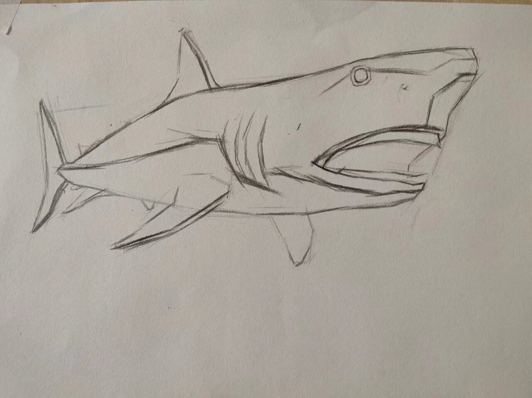 《鲨鱼95》的素描表现