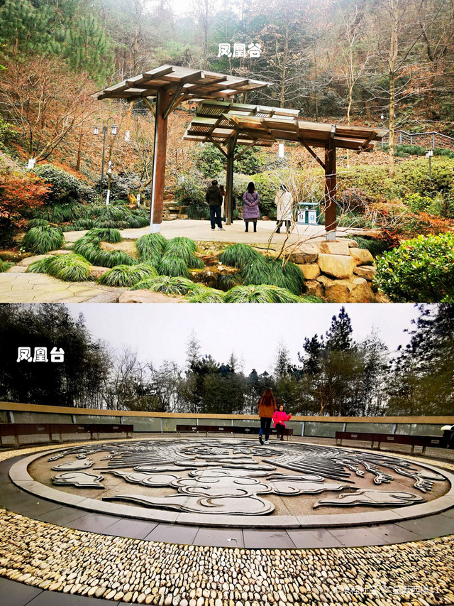 凤凰山森林公园,浙江安吉的地标