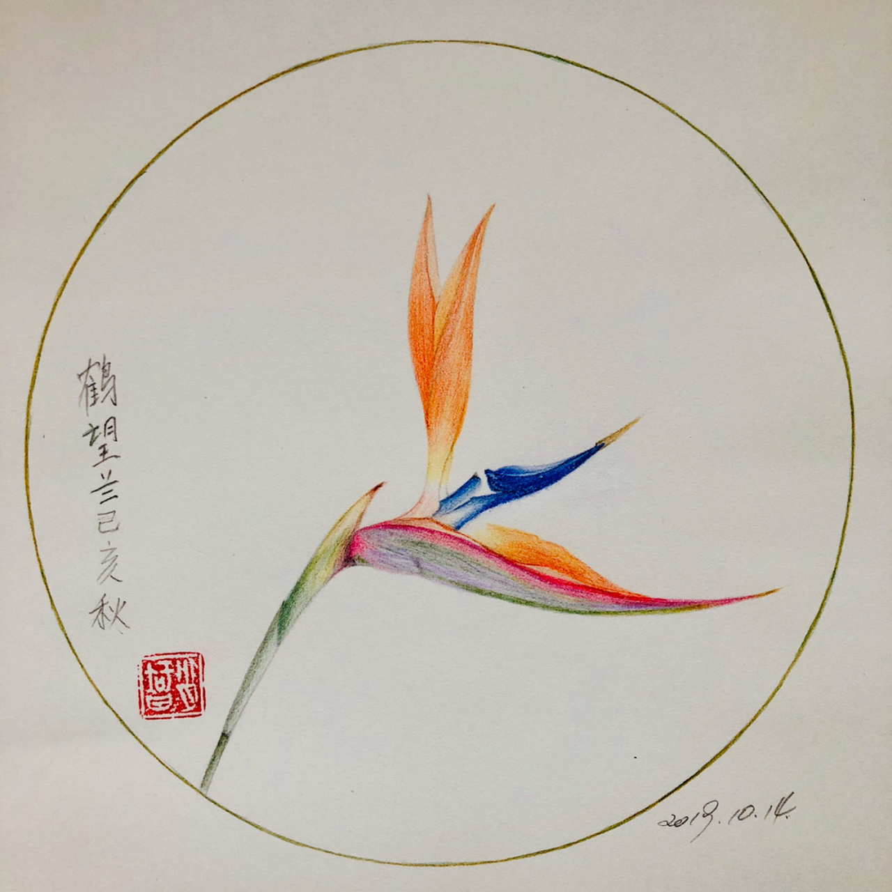 编号299(原创鹤望兰画于上海) a3素描纸 辉柏嘉60色水溶性红盒彩铅,所