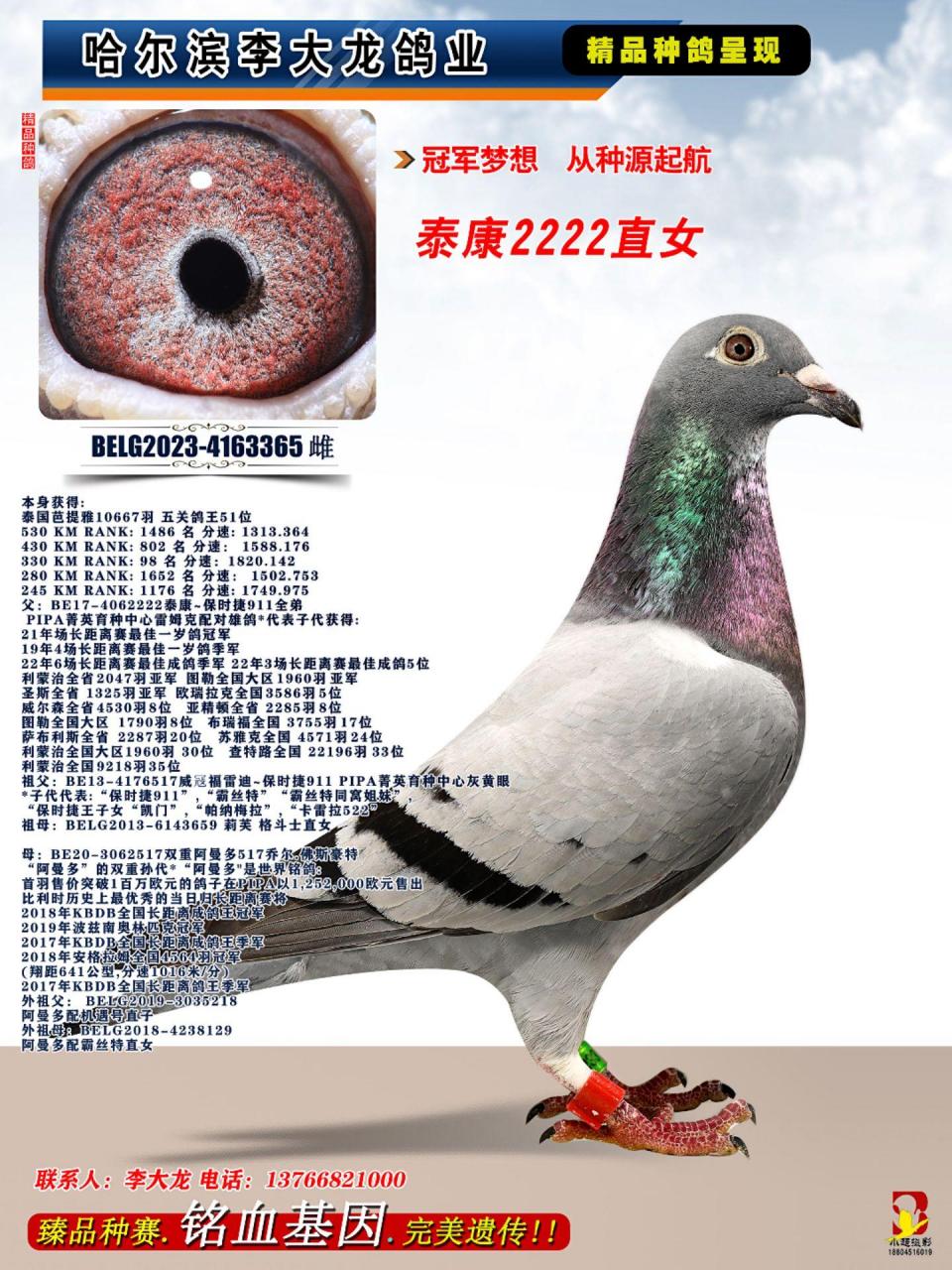 保时捷911全兄弟泰康直女