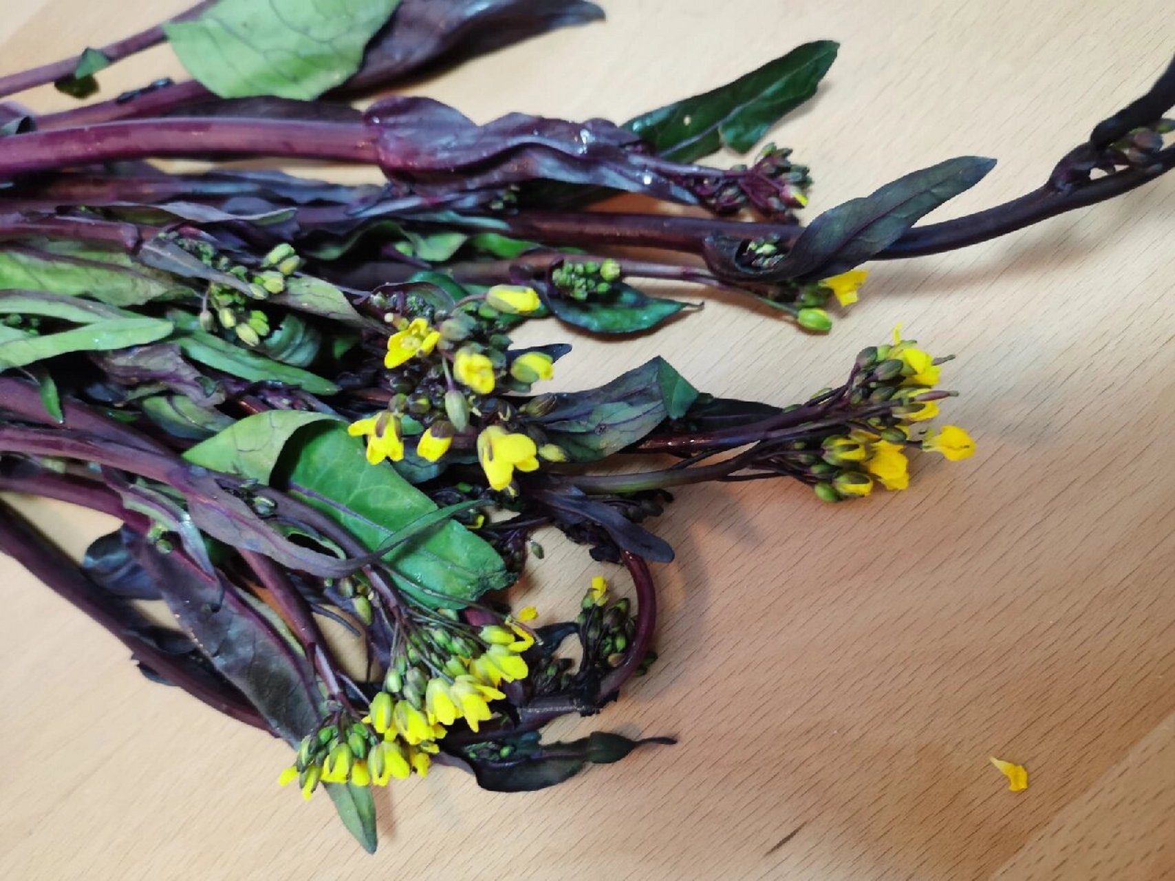 春天吃紫菜苔季节,今年买到的是开花的,那么问题来了: 菜尖上开的