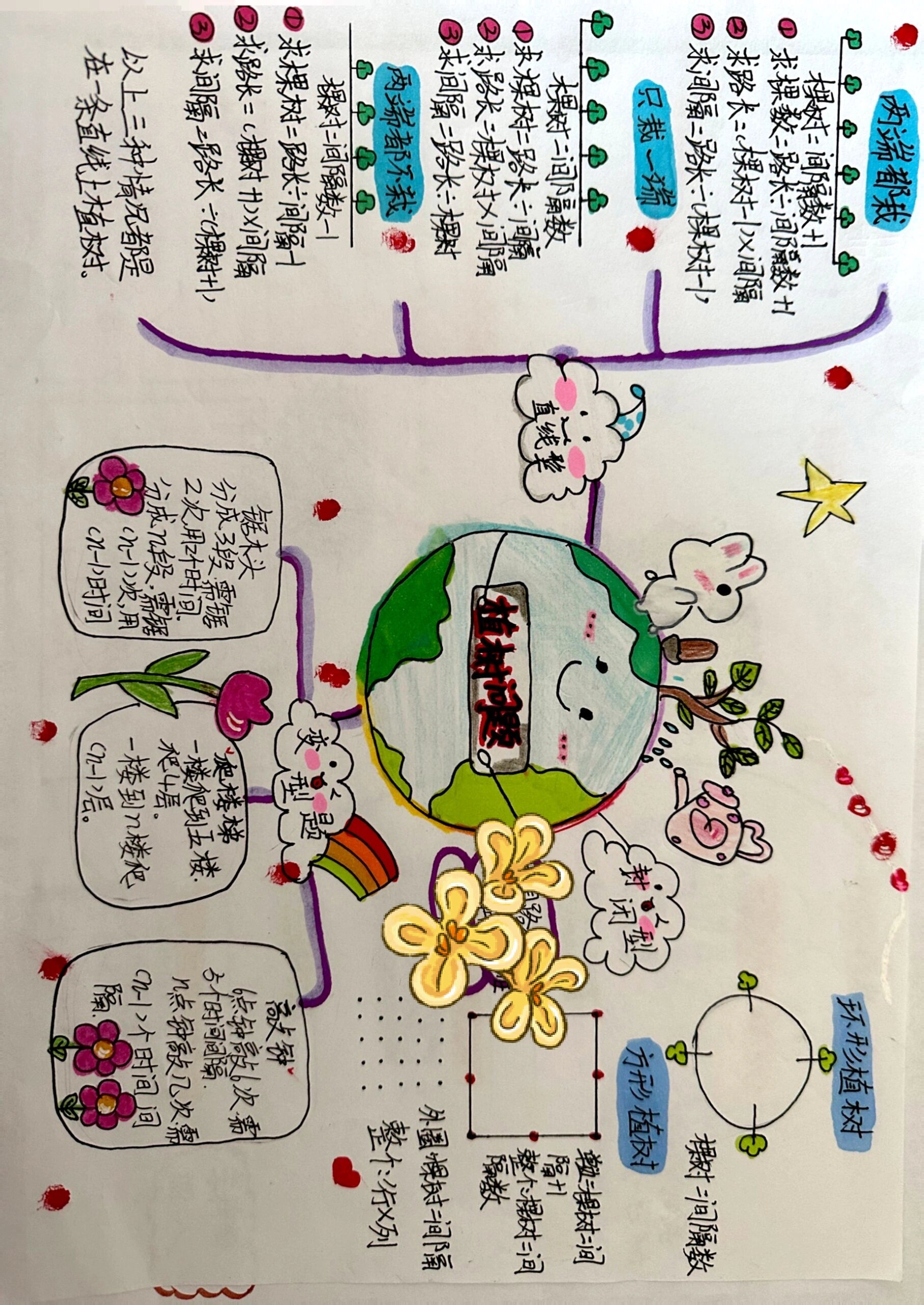 四年级上册植树问题(思维导图)