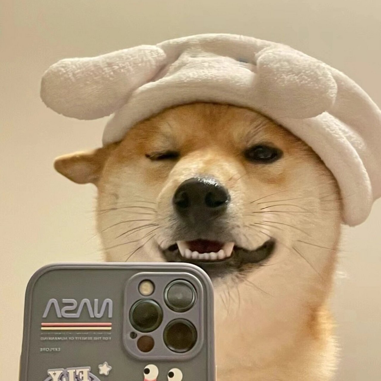 自信狗子头像 发现一组自信狗子头像!