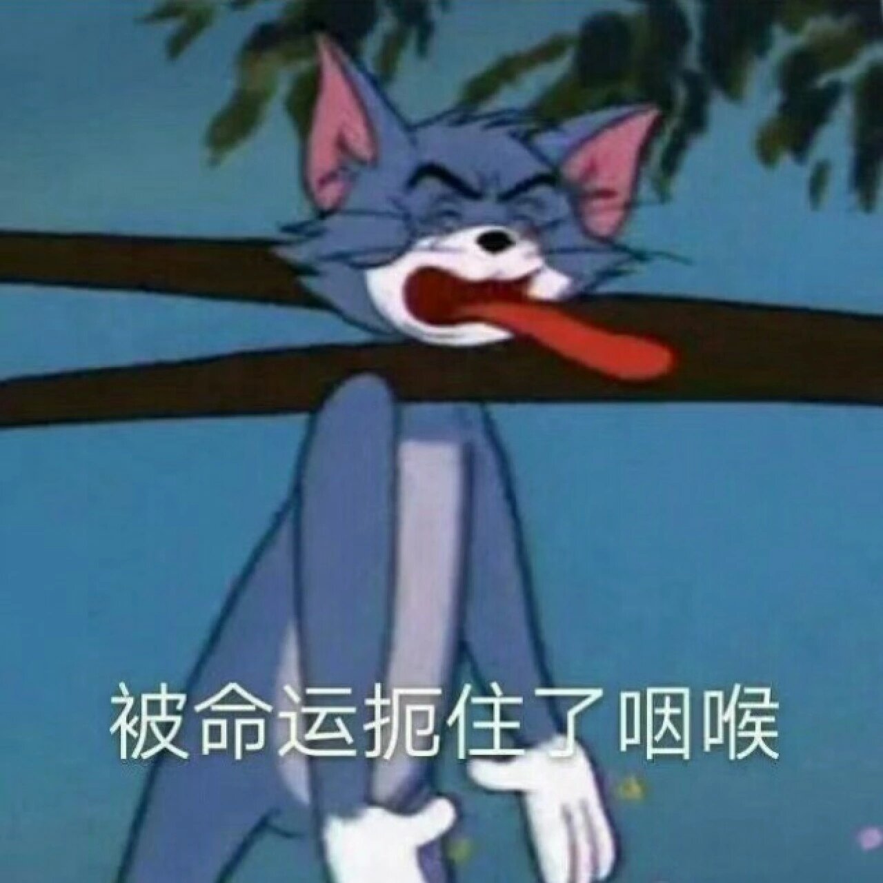 汤姆猫表情包