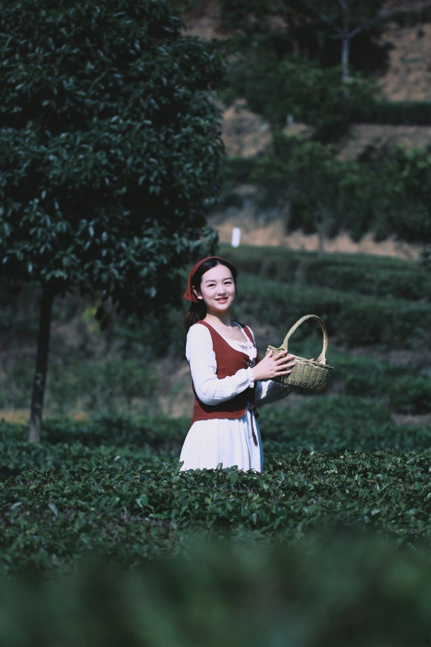 鍾情湖北約會春天# 來宜昌夷陵太平溪採新茶,賞鮮花,觀美景~捧上冶