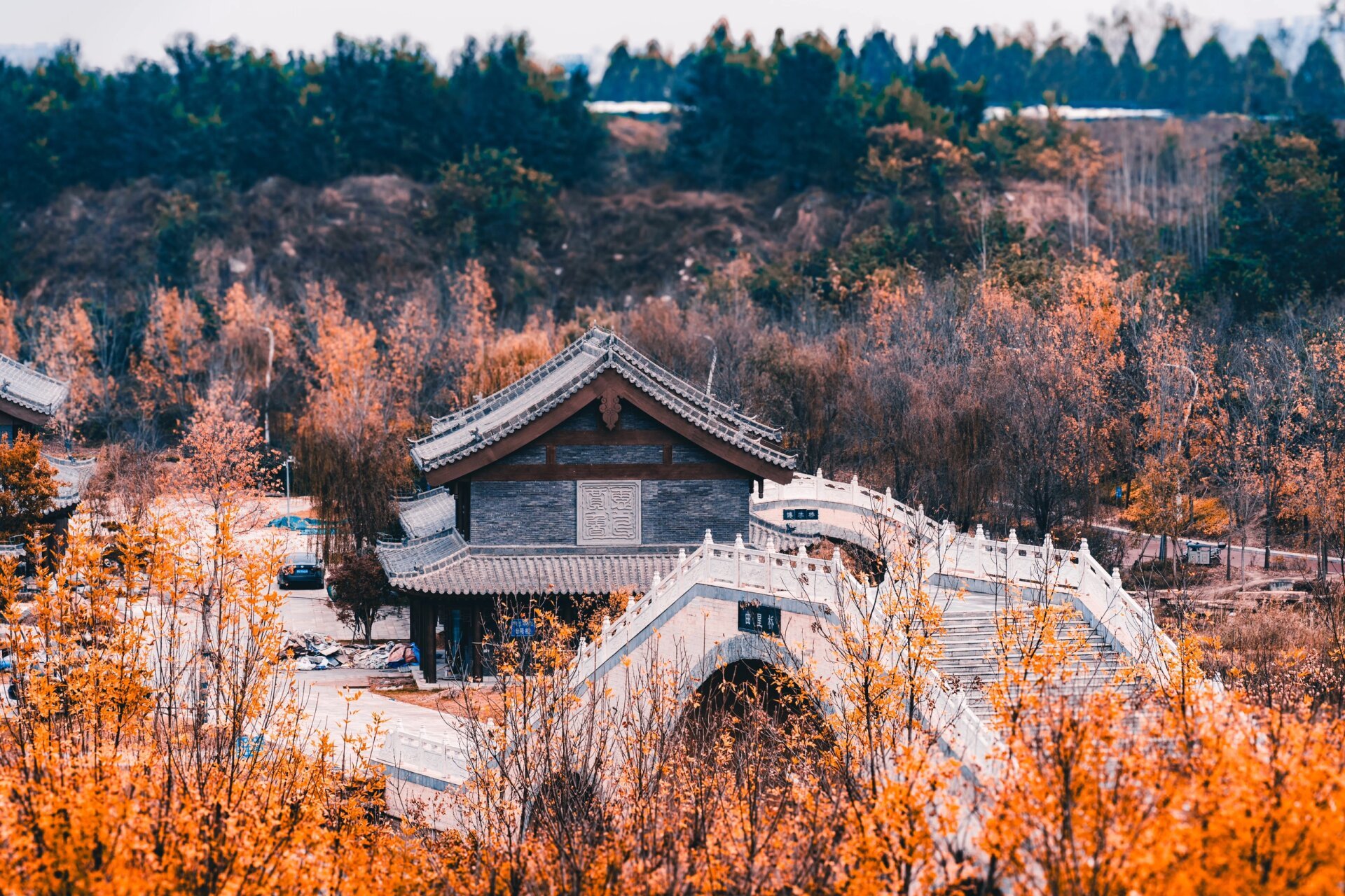 贾鲁河明伦岛游记:一场穿越千年的秋 在郑州的明伦岛,仿佛穿越了千年